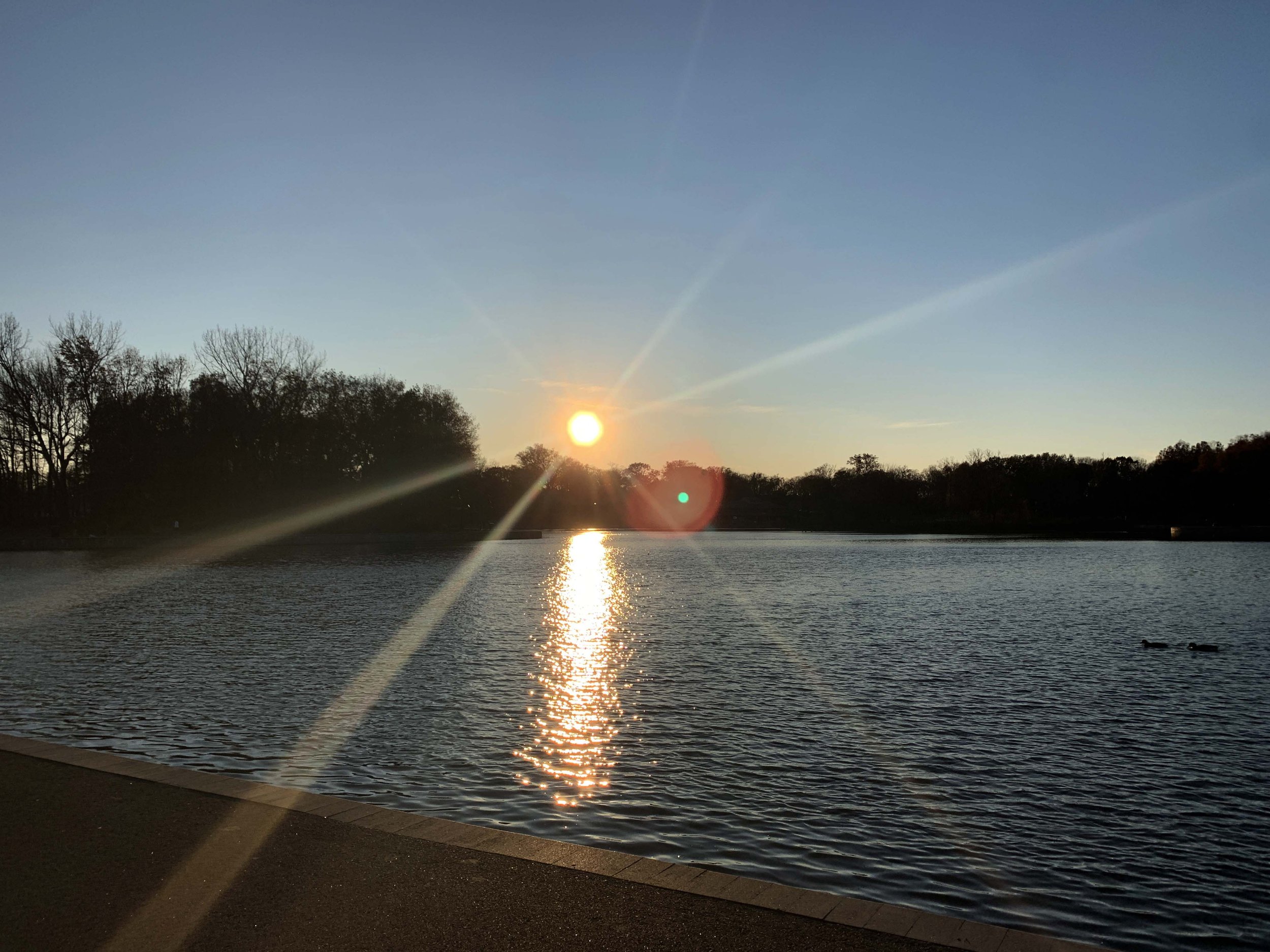 sunlight.jpg