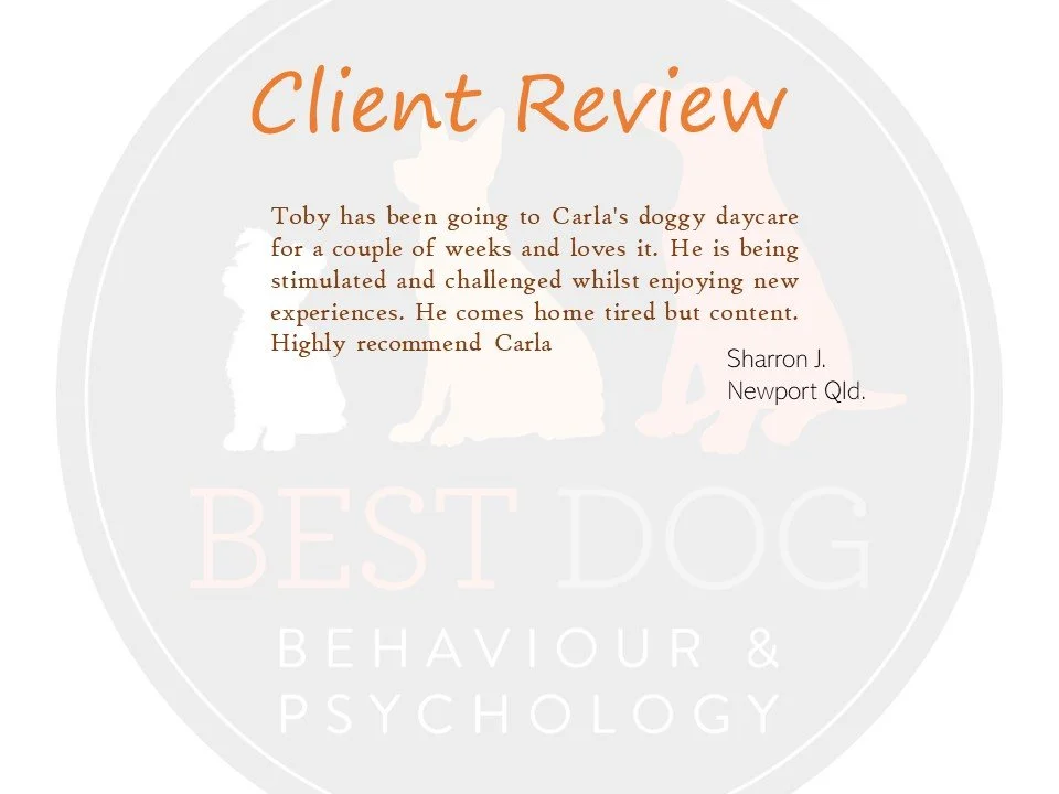 Dat Care review - Sharron J..jpg