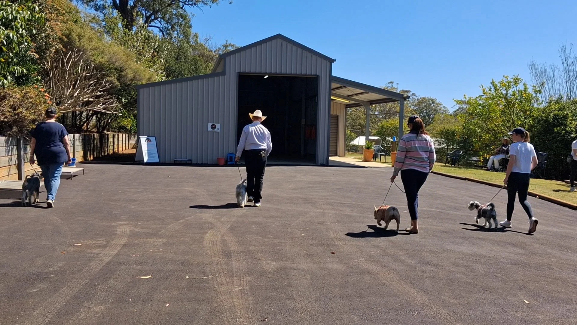 Grou pwalk to shed.jpg
