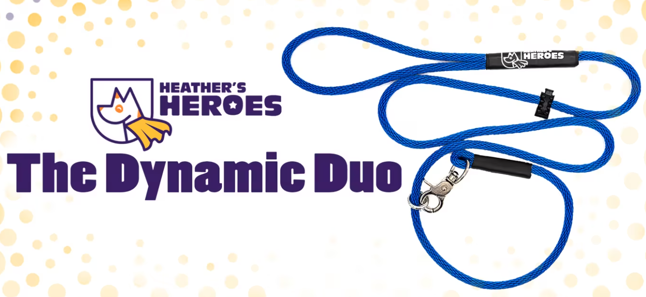 Heathers Hero Dynamic Duo 6' Lead
