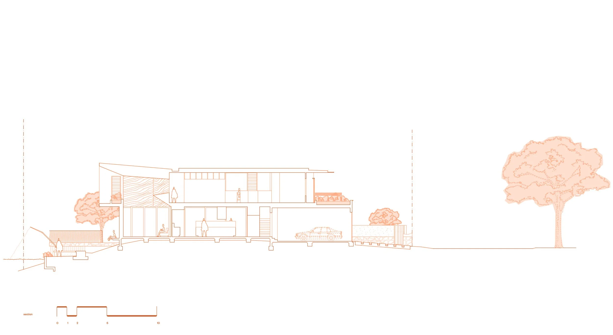 MELALEUCA HOUSE SECTION.jpg