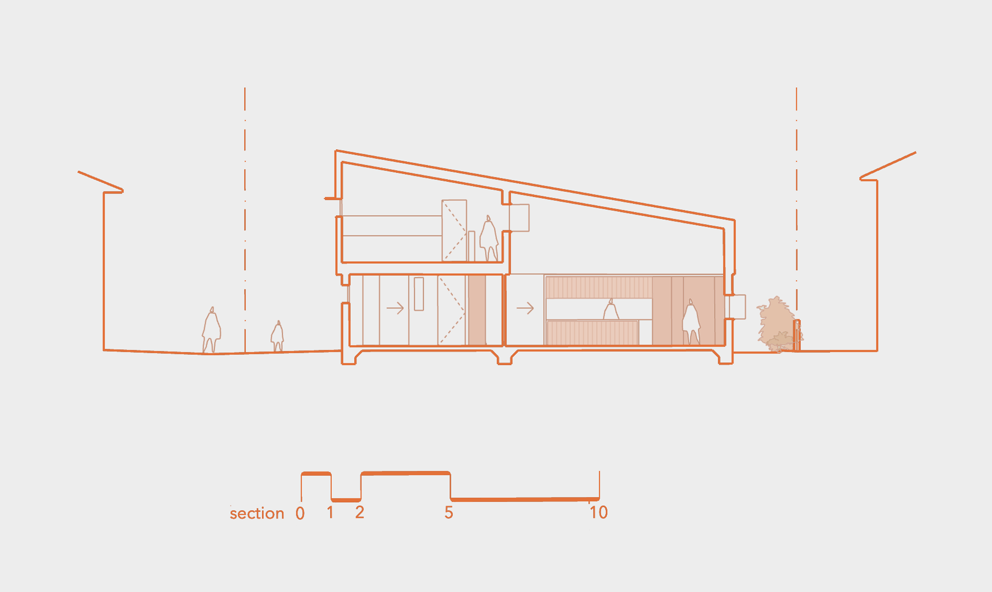 justin-humphrey-architects-cabbage-tree-house-plan-3-section.png