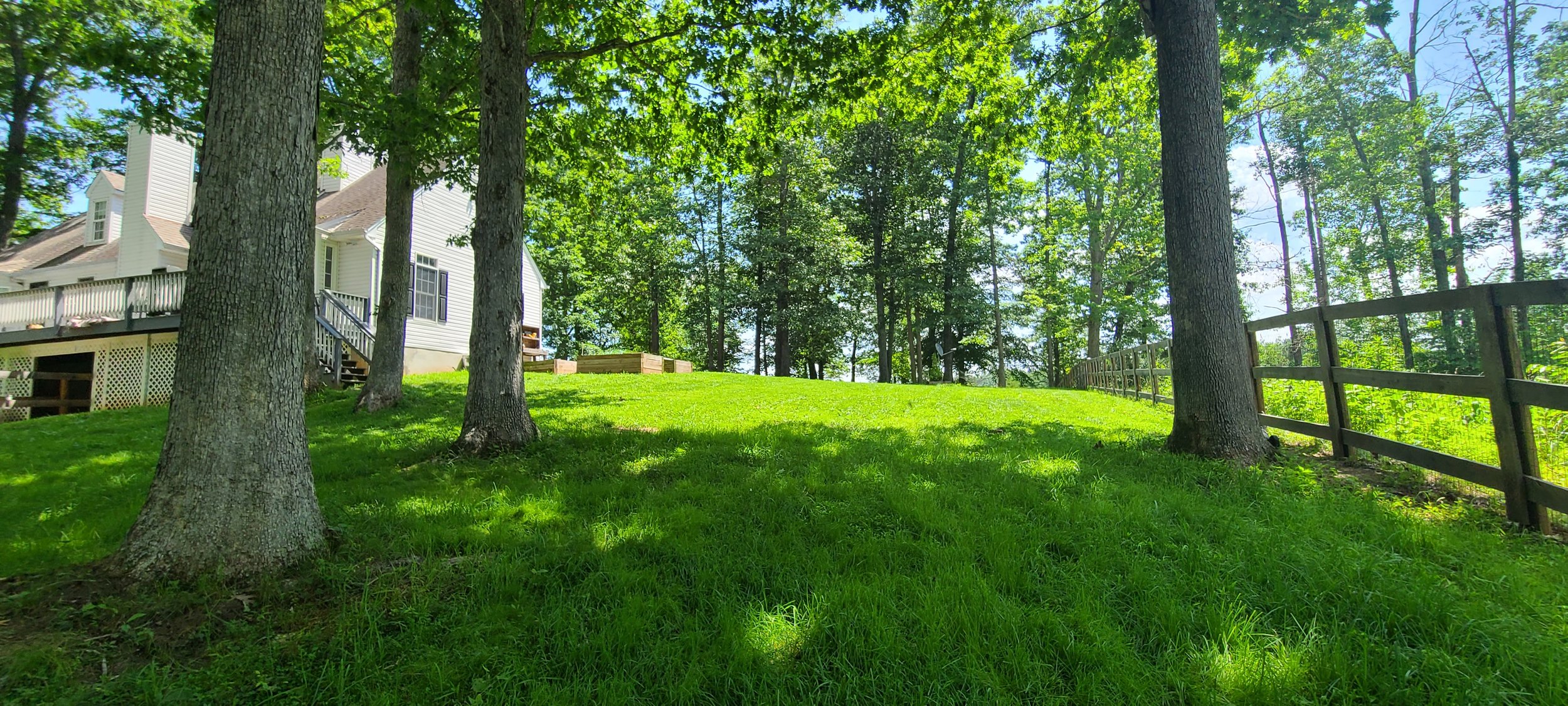 20220617_121327.jpg