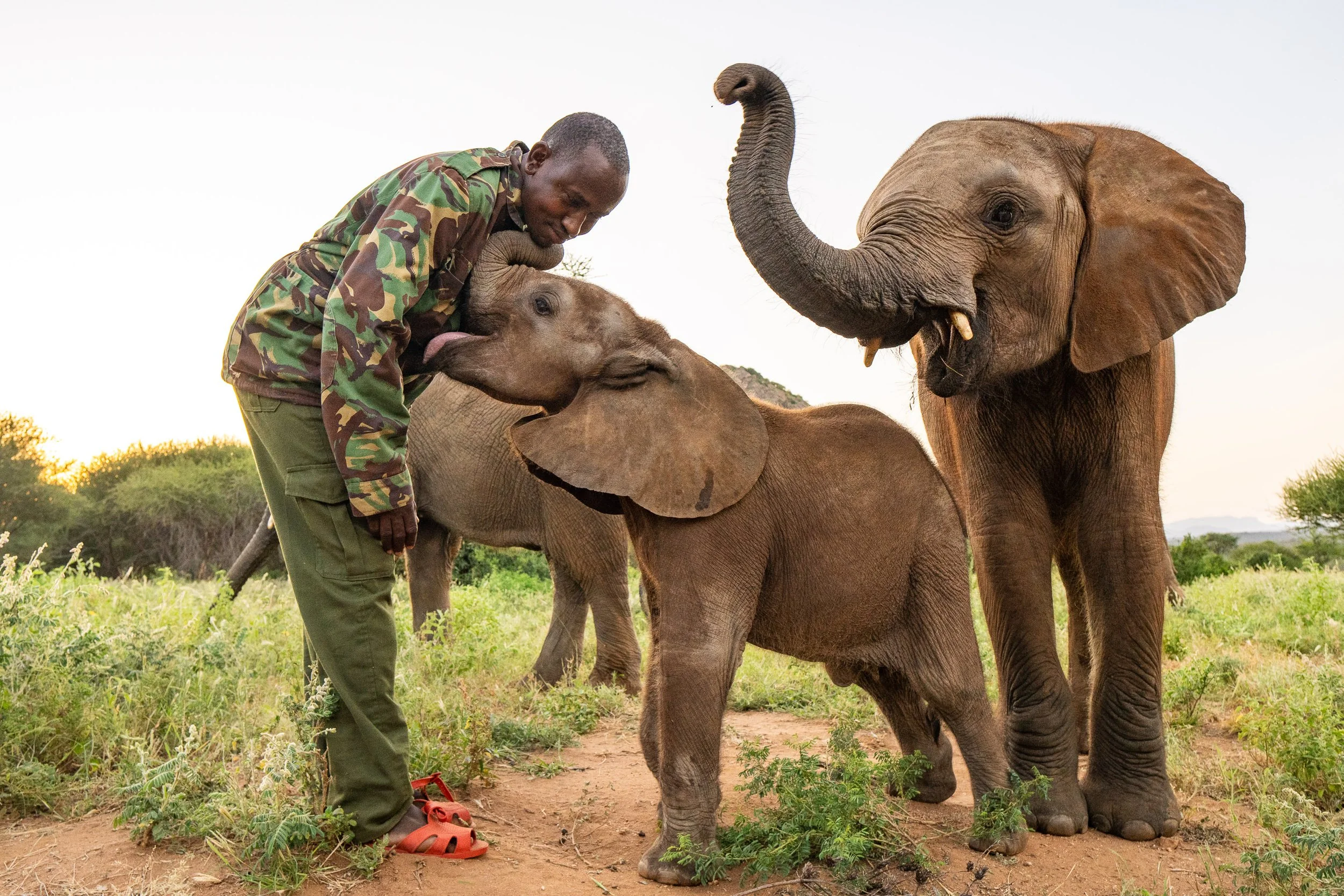 Visit Us | Reteti Elephant Sanctuary