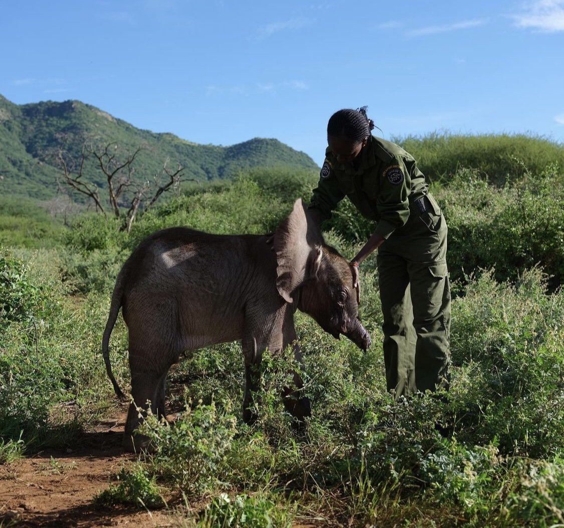 Long'uro _ Reteti Elephant Sanctuary _ David Chancellor_8.jpg