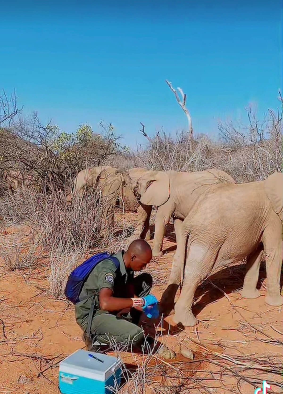 Colman Lesowapir _ Reteti Elephant Researcher _ 4.jpg