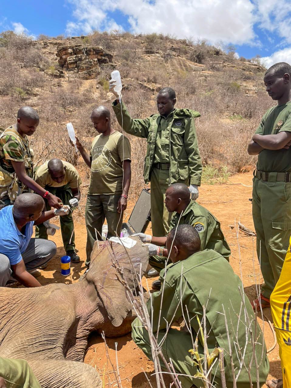 Sitiin _ Mountain Rescue _ Reteti Elephant Sanctuary _ 16.jpg