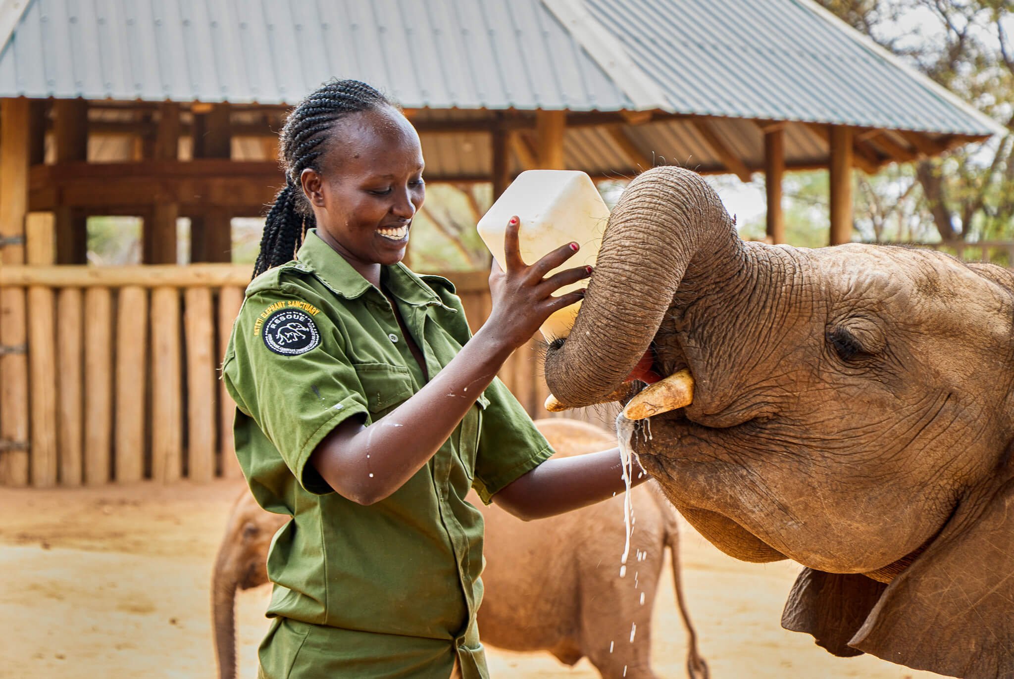 Dorothy Lowakutuk _ Reteti Elephant Sanctuary _ 12.jpg