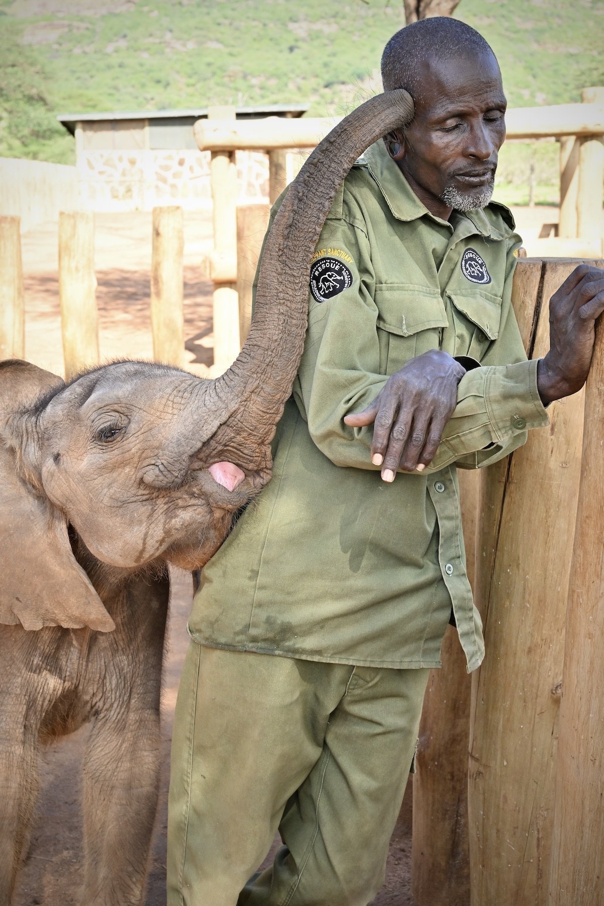 Ngaremara _ Reteti Elephant Sanctuary-6.JPG