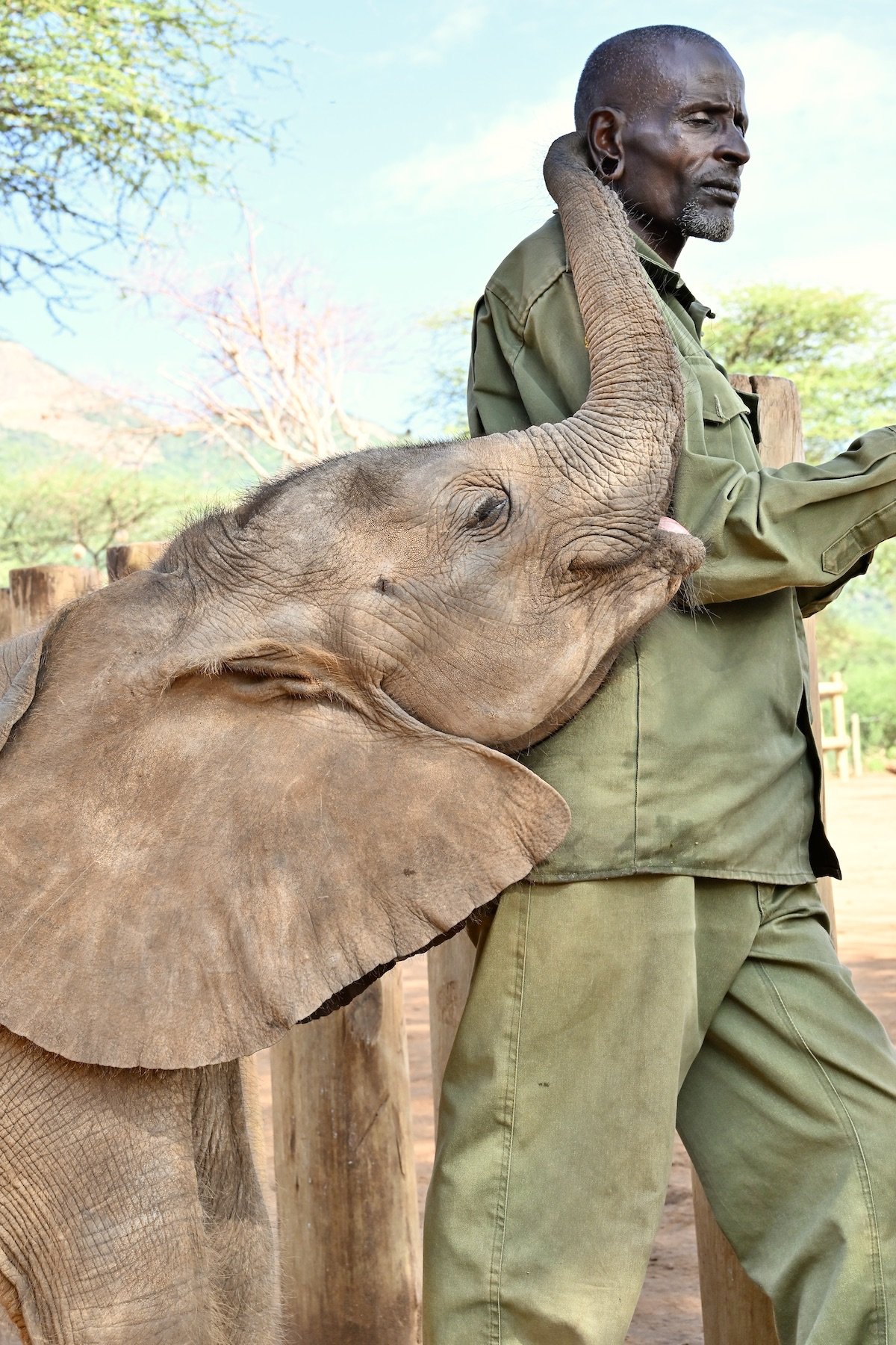 Ngaremara _ Reteti Elephant Sanctuary-8.JPG