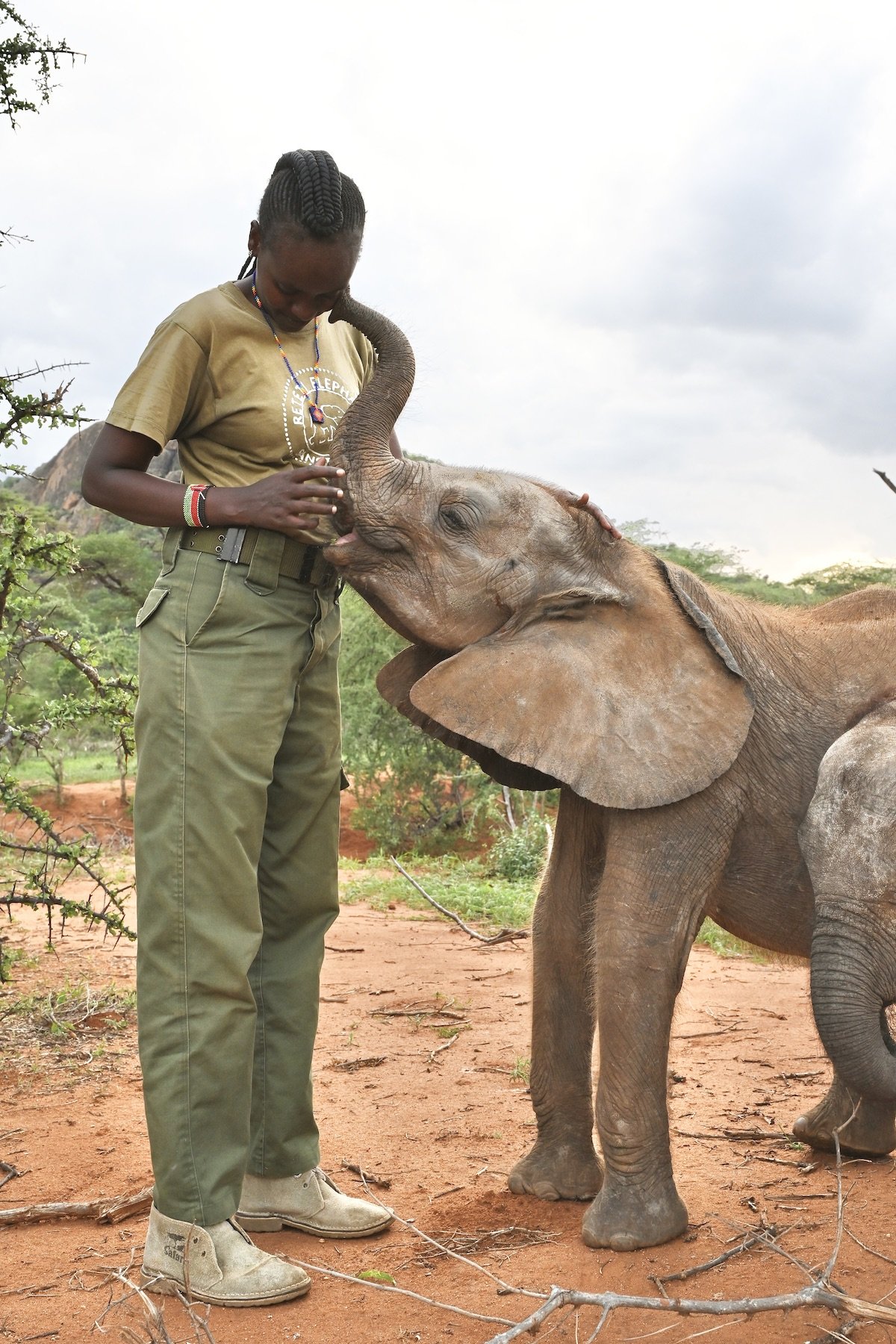 Ngaremara _ Reteti Elephant Sanctuary-4.jpeg
