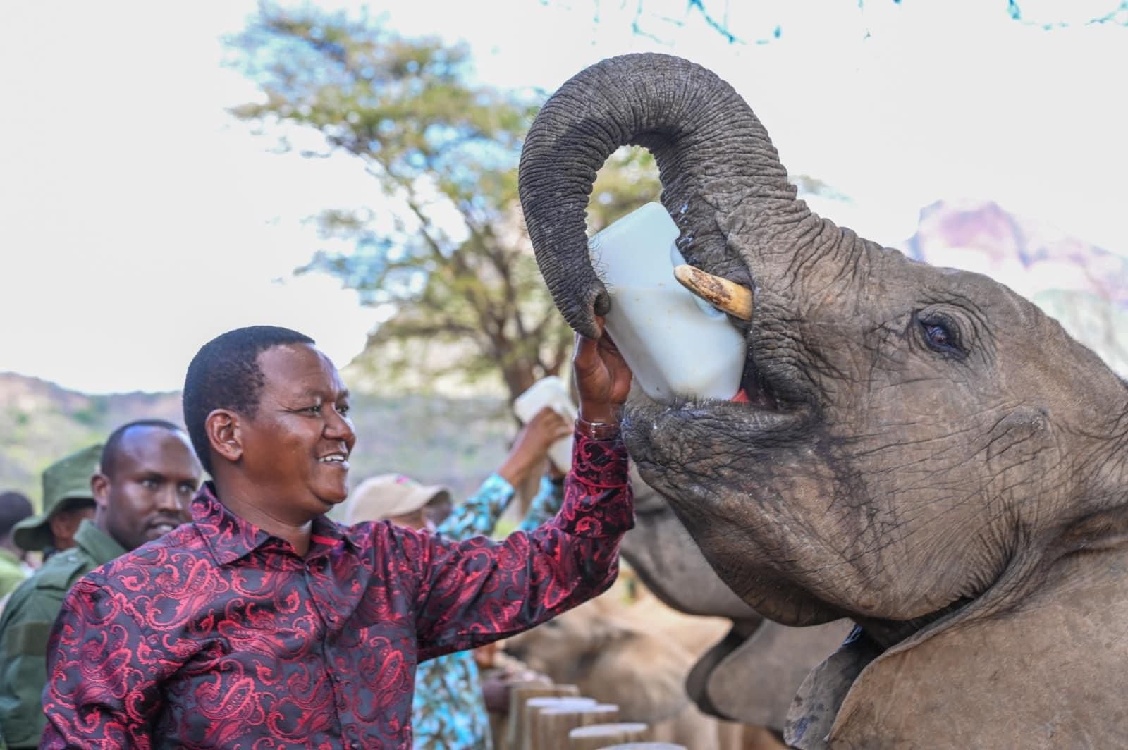 Dr Alfred Mutua feeding an elephant at Reteti Elephant Sanctuary _ 10.jpeg