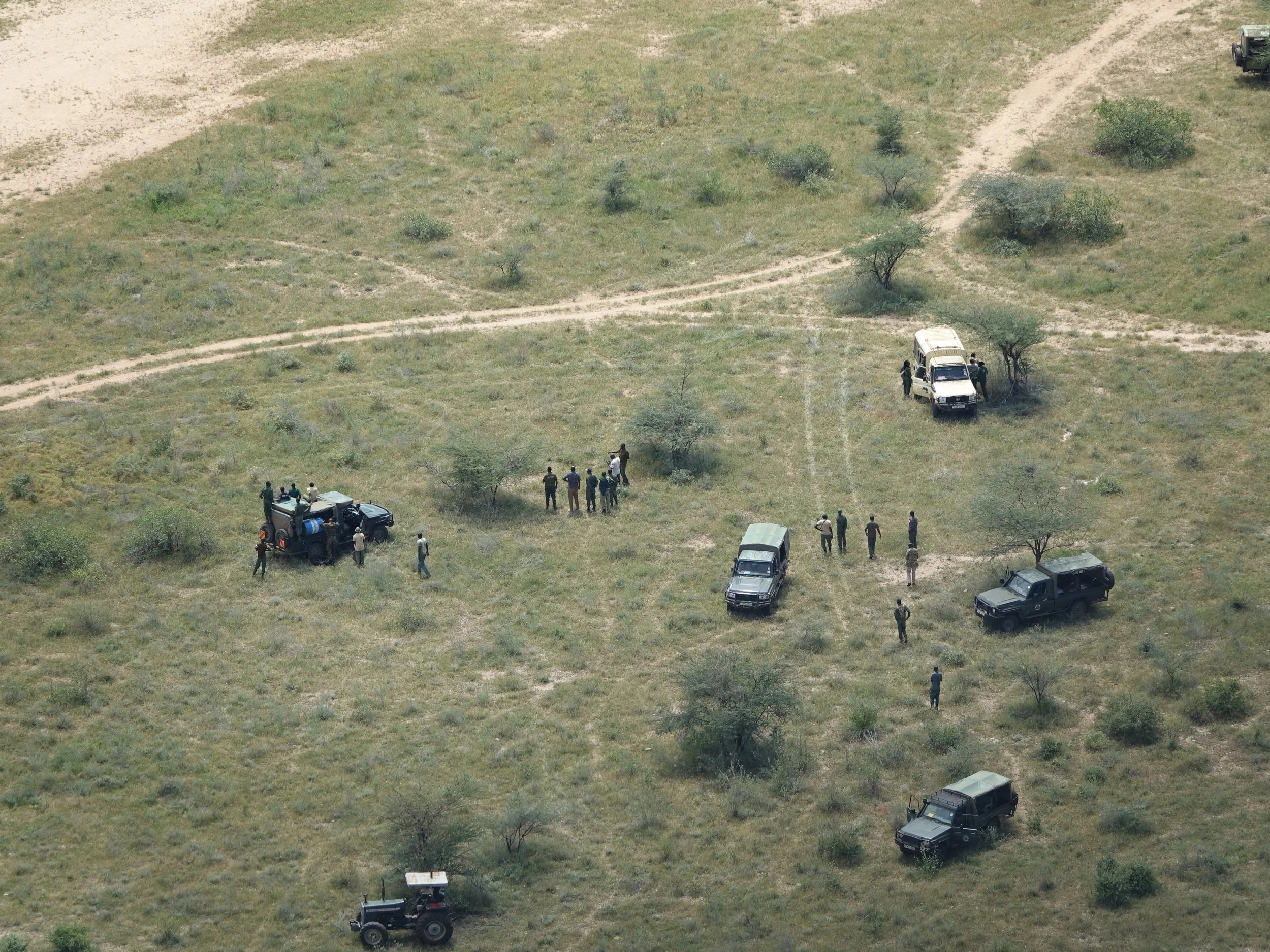 Sera Release Herd 2_DavidDaballen_SavetheElephants.JPG