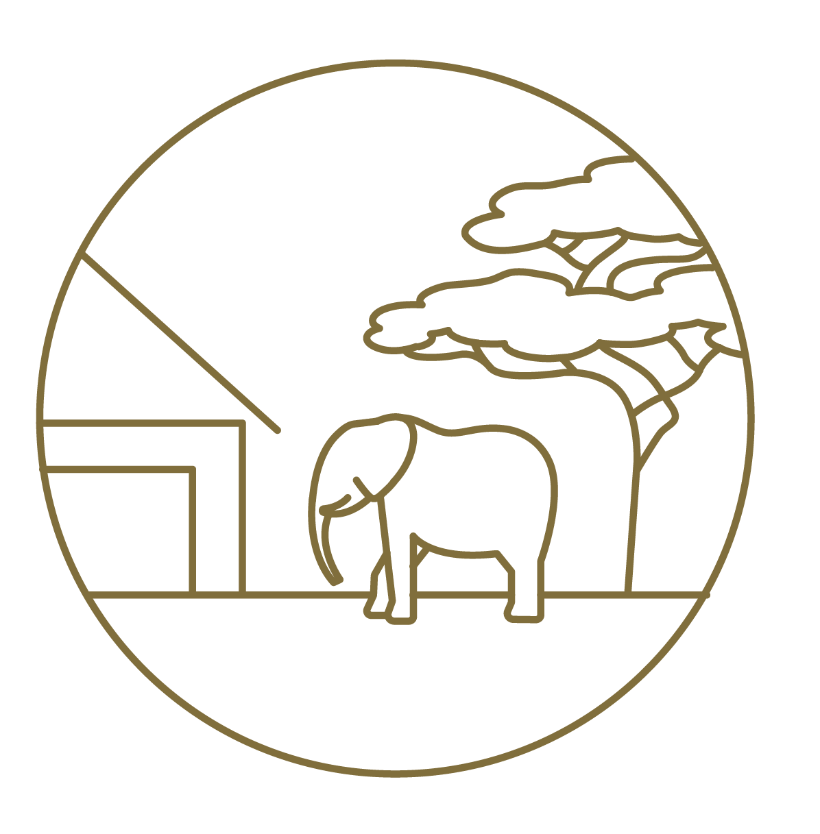 Illustration of reteti rangers