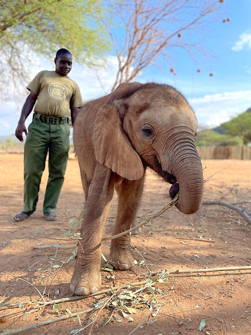 Milgis the Elephant from Reteti Elephant Sacntaury