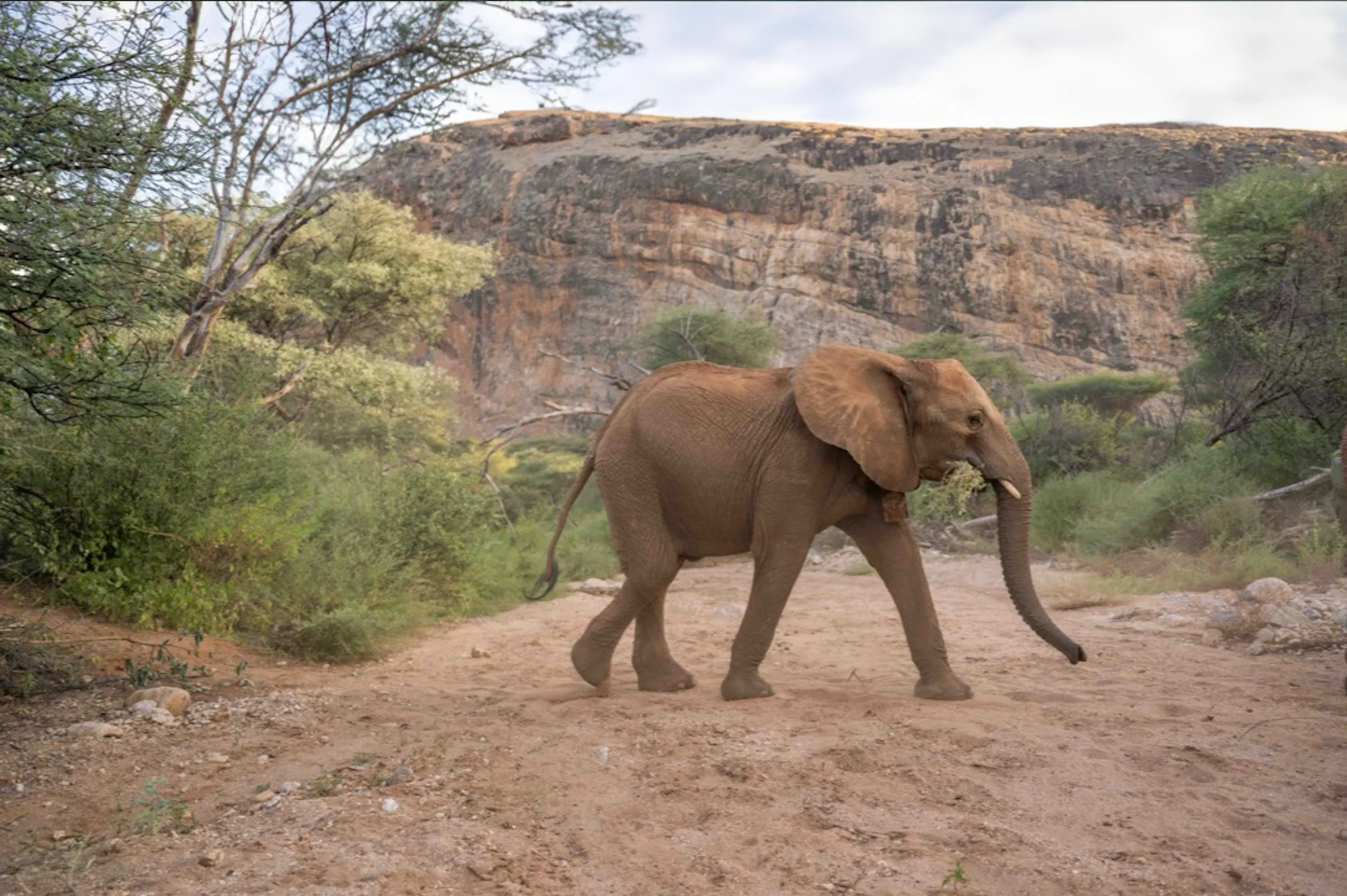 Reteti Elephant Sanctuary_release_-3..JPG