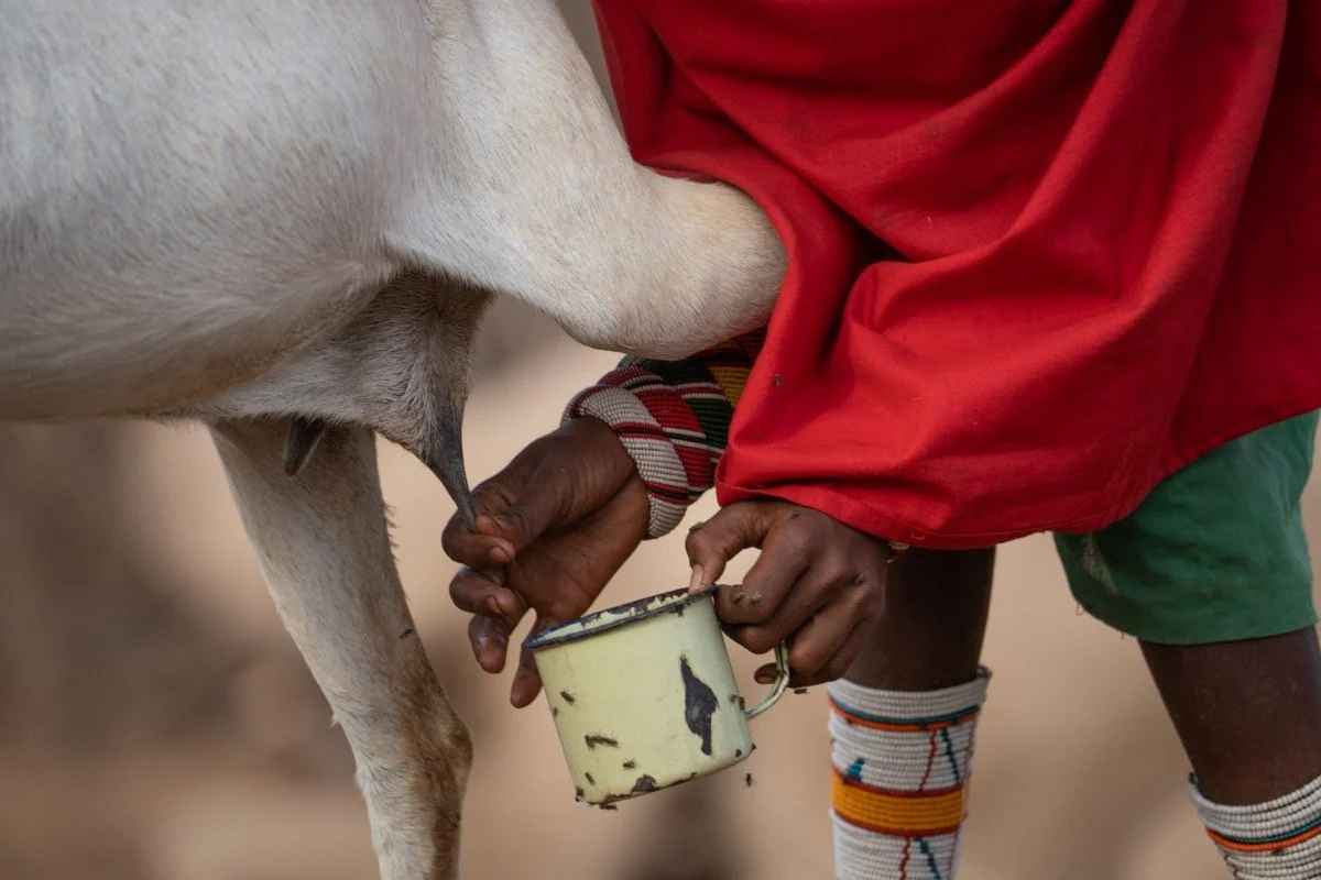 Milk Ripple Effect _ yield...jpg