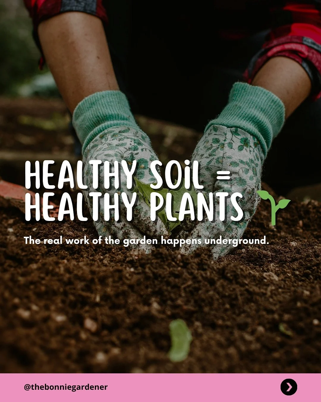 Healthy soil = healthy plants π±
It’s easy to forget that the real work of the garden happens underground. A few quick tips when it comes to caring for your soil:
πΏ Add organic matter at least once a year (compost, leaf mould or well-rotted