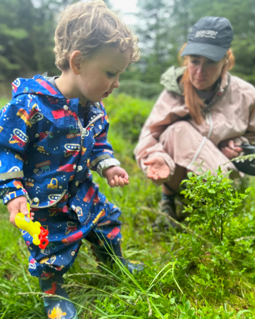 A gentle guide to September foraging in the Scottish hedgerow