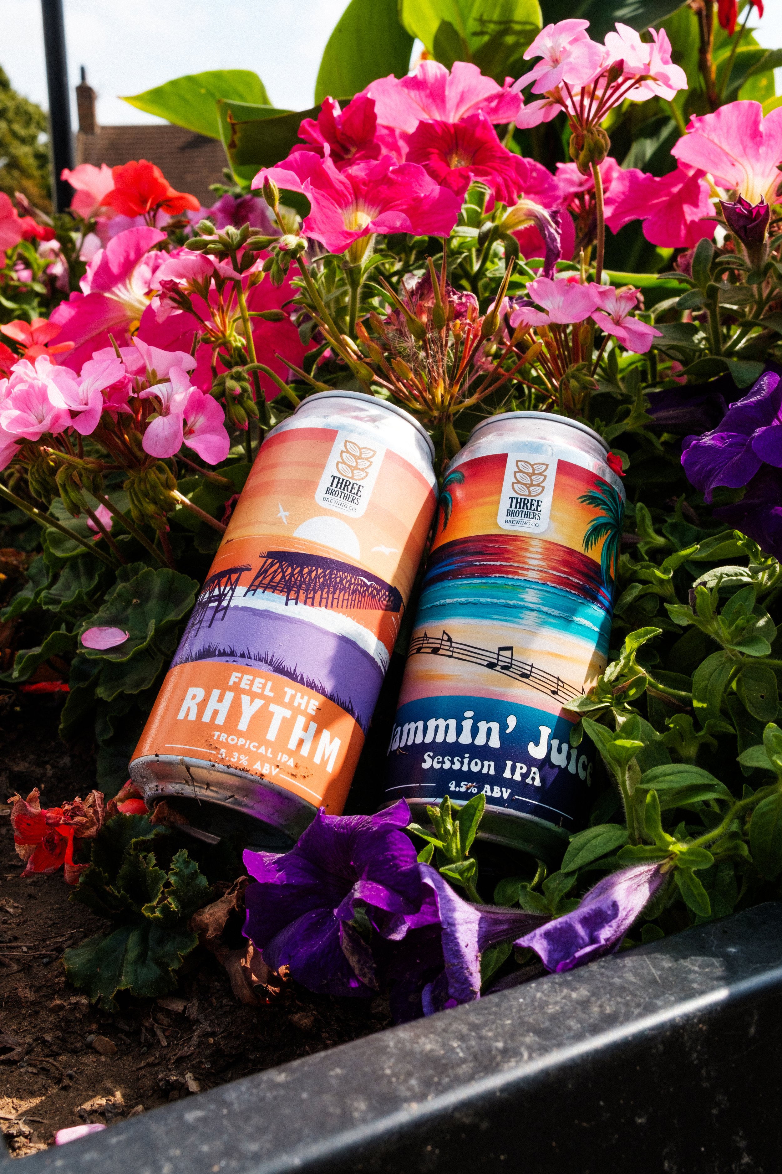 Two cans of craft beer with colorful tropical-themed labels placed in a flower bed with pink, purple, and green flowers and foliage.