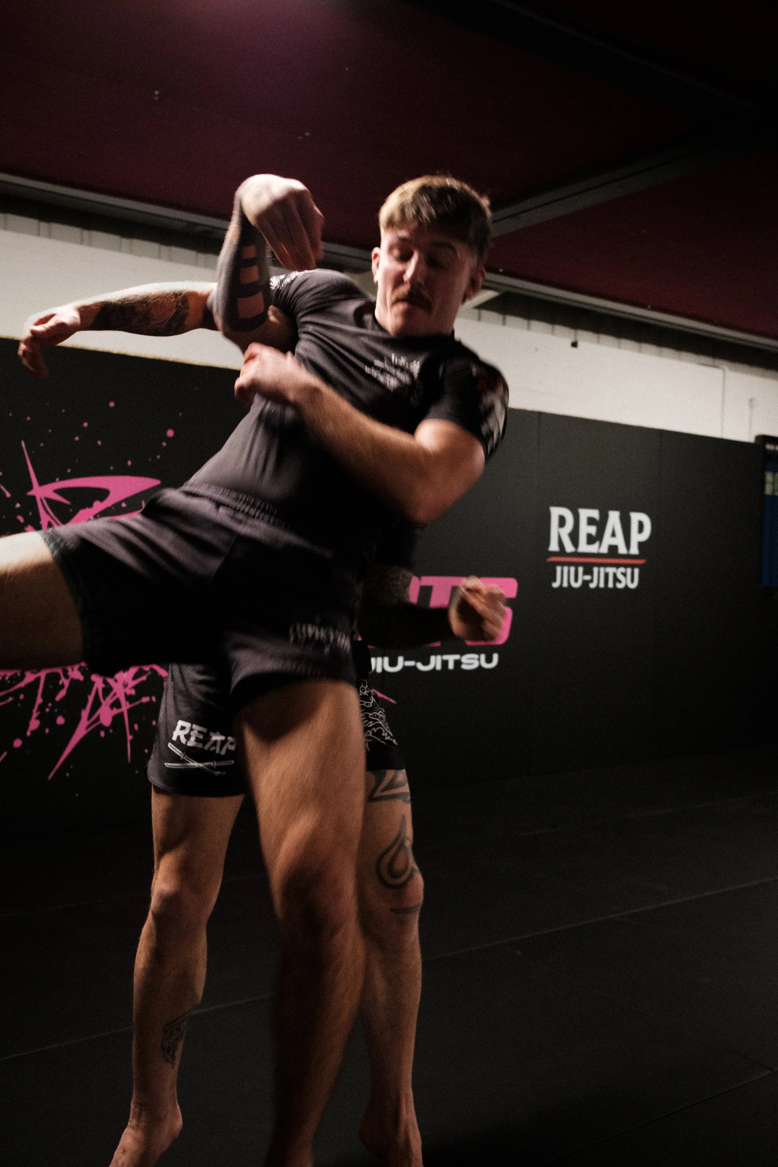 Wold Rashies -16.jpg