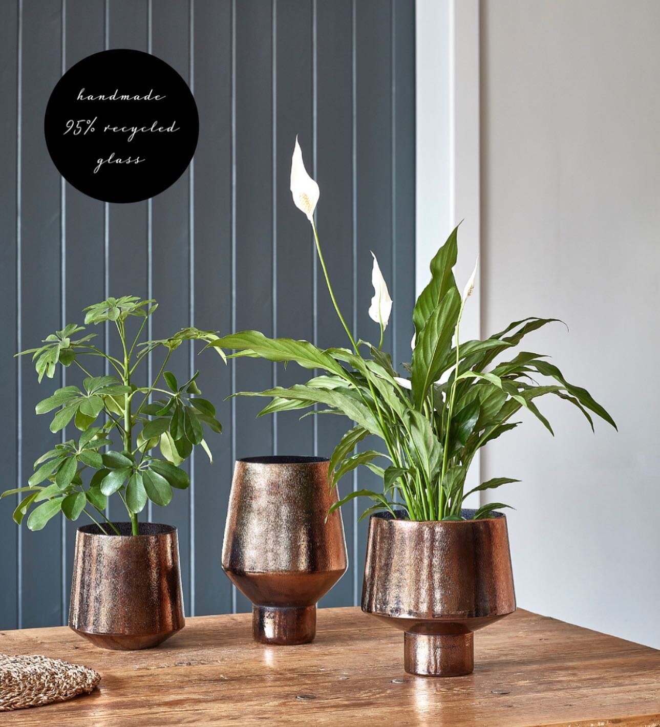 Some more glass designs from the SS23 Ivyline brochure.