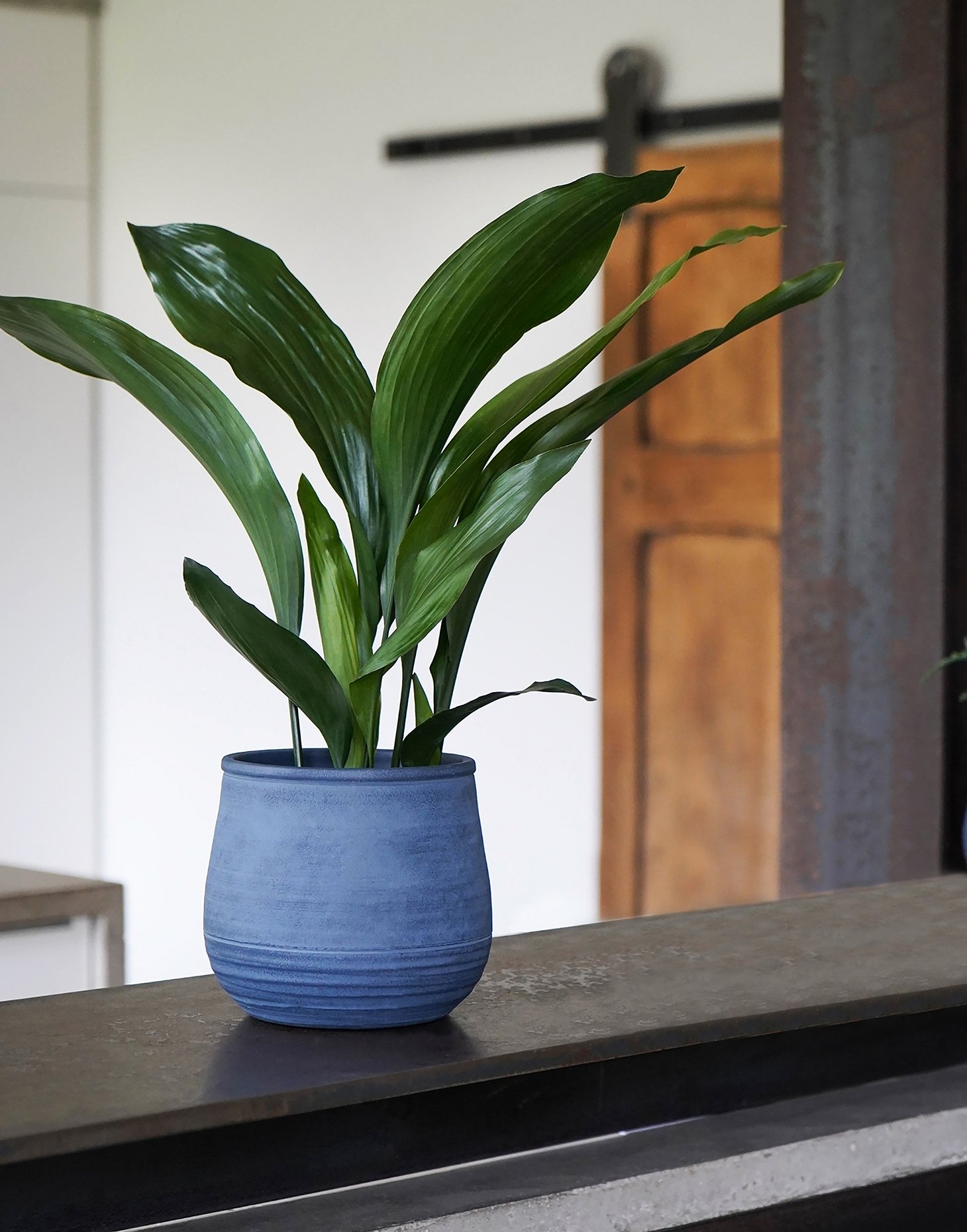 KEW-GARDENS-IVYLINE-HANDTHROWN-CERAMIC-PLANTER.jpeg