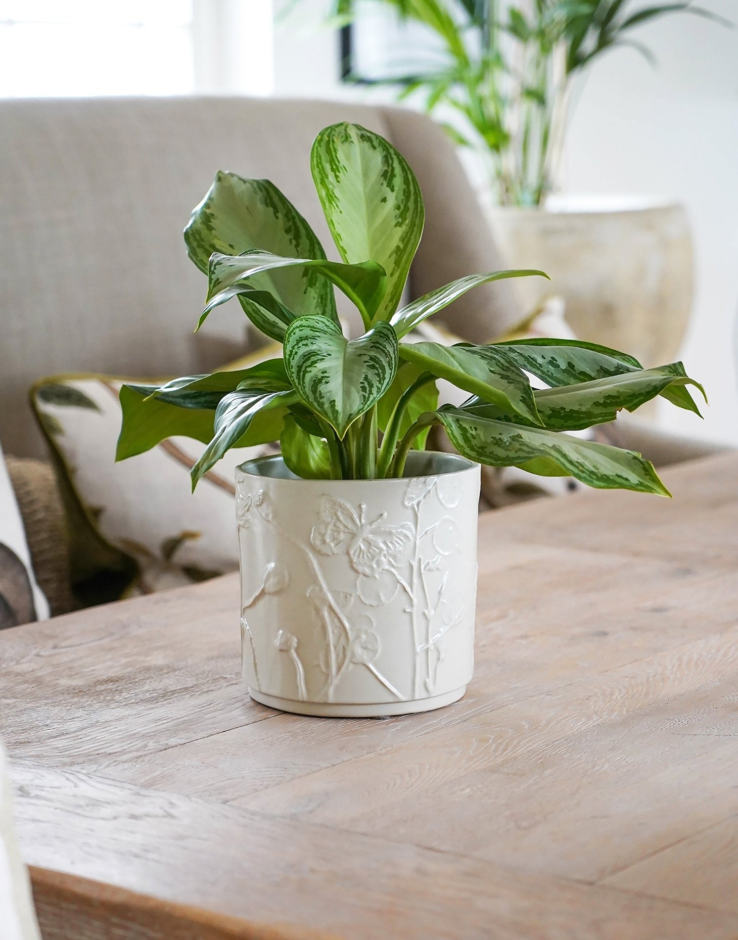 KEW-GARDENS-IVYLINE-MEADOW-PLANTER-STONEWARE.jpeg