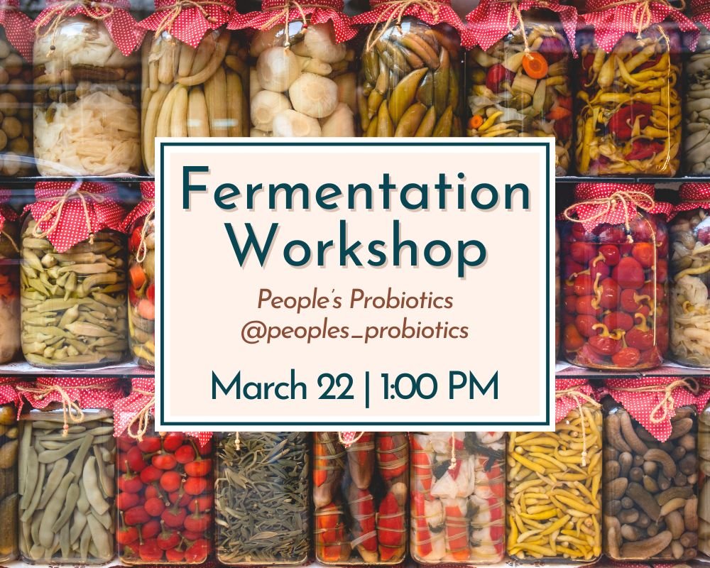 Artisan Spotlight 2026 Fare Harbor (7).jpg