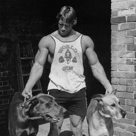 Back with a bark. 

Schwarzenegger pictured with his dogs. Circa 1975. 

#strength #vitality #odger #woof #dogs #arnold