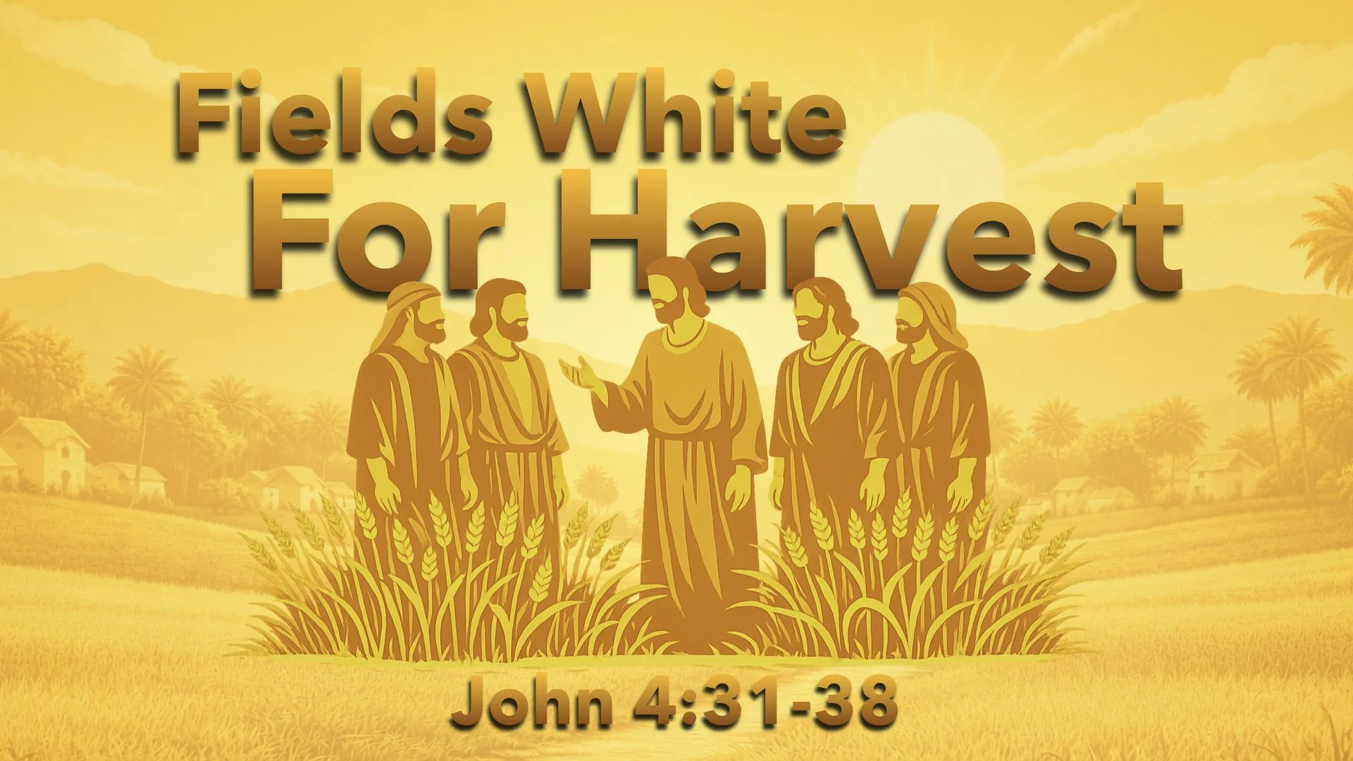 Fields White For Harvest