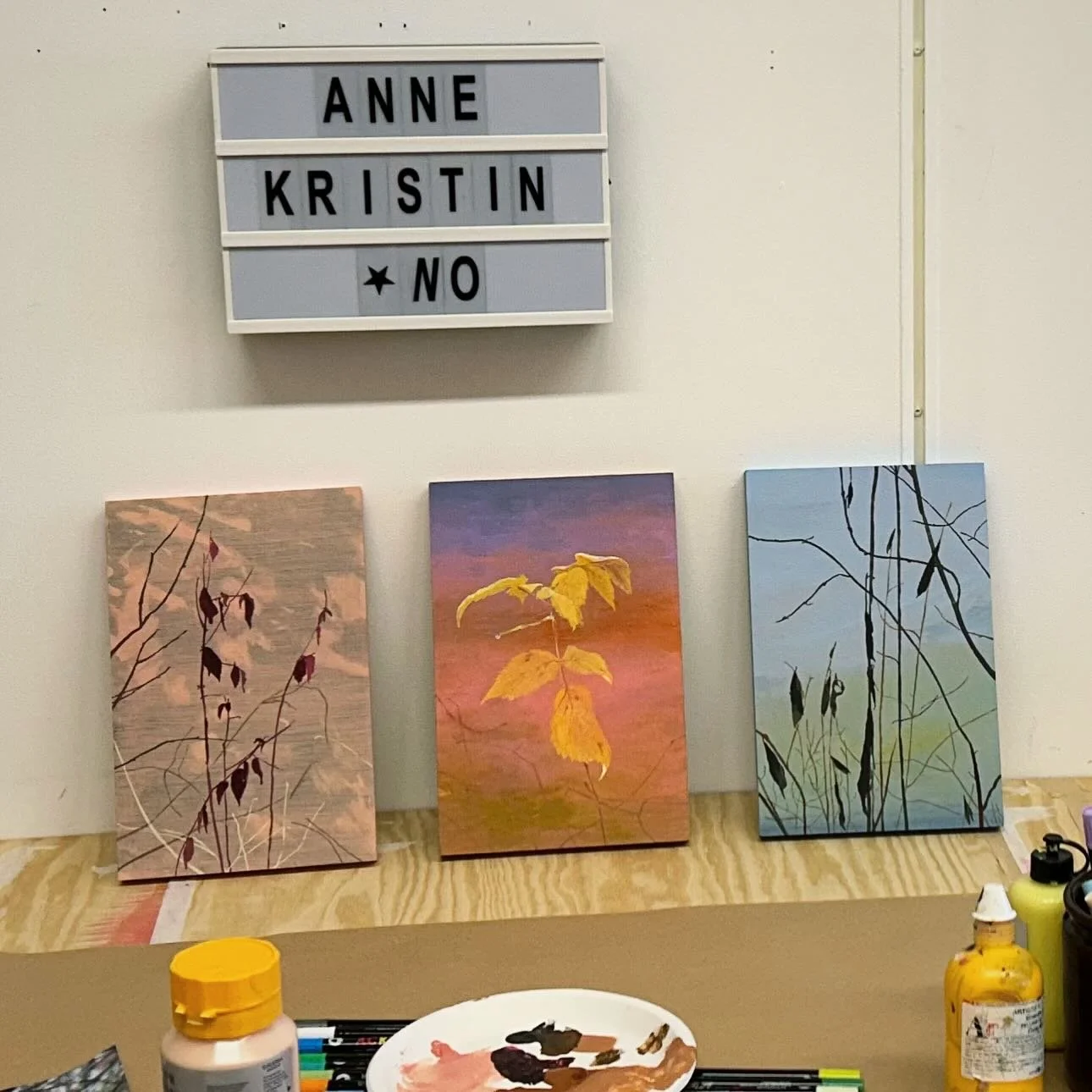 Jeg g&aring;r mye langs elva utenfor atelieret mitt. F&oslash;r sn&oslash;en til slutt kom, tviholdt grener og stilker p&aring; noen f&aring; blader. N&aring; har de enten falt av eller frosset fast.