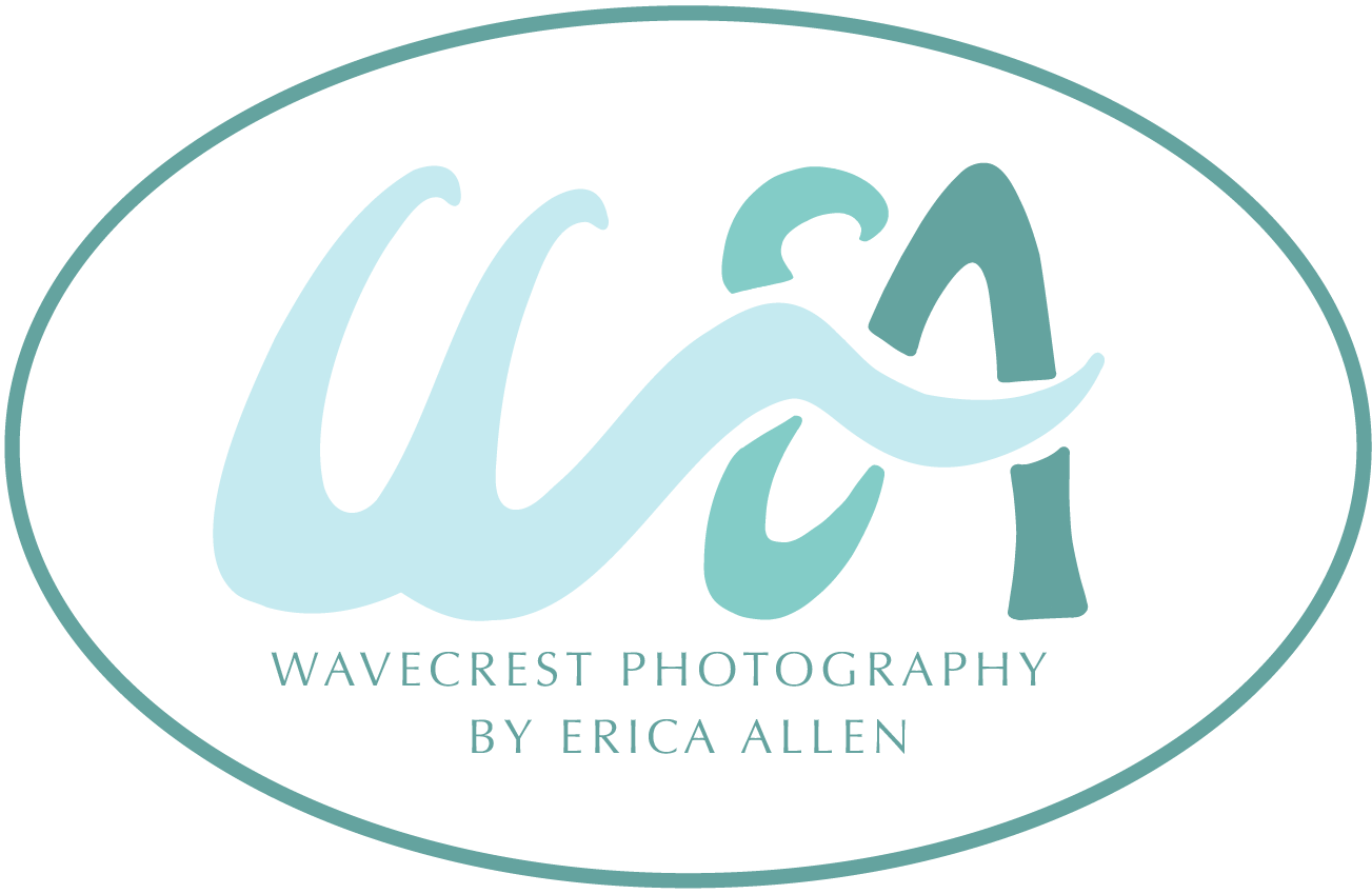 Wavecrest Photo &amp; Video by Erica Allen