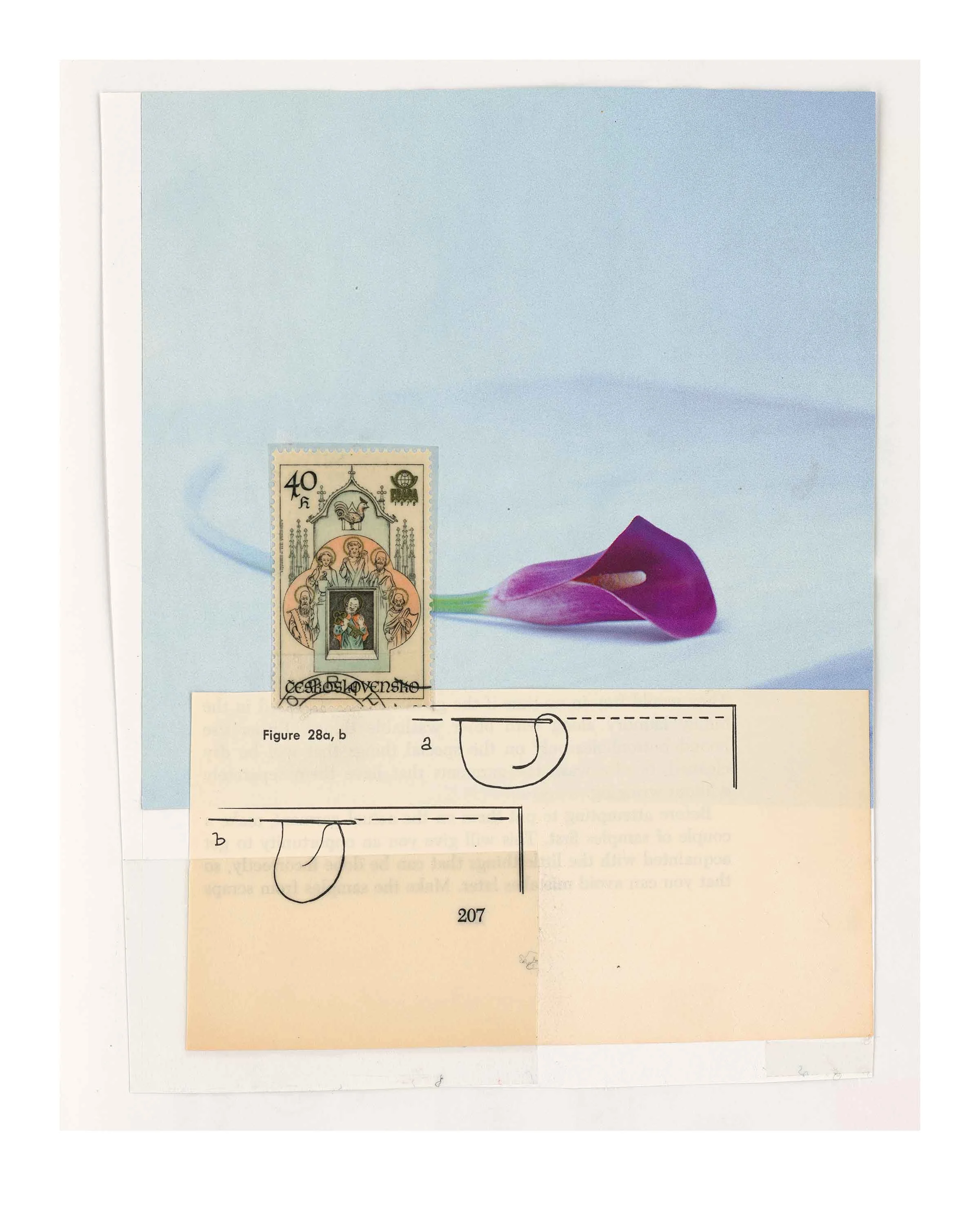 Calla Lilly, Monk, Thread