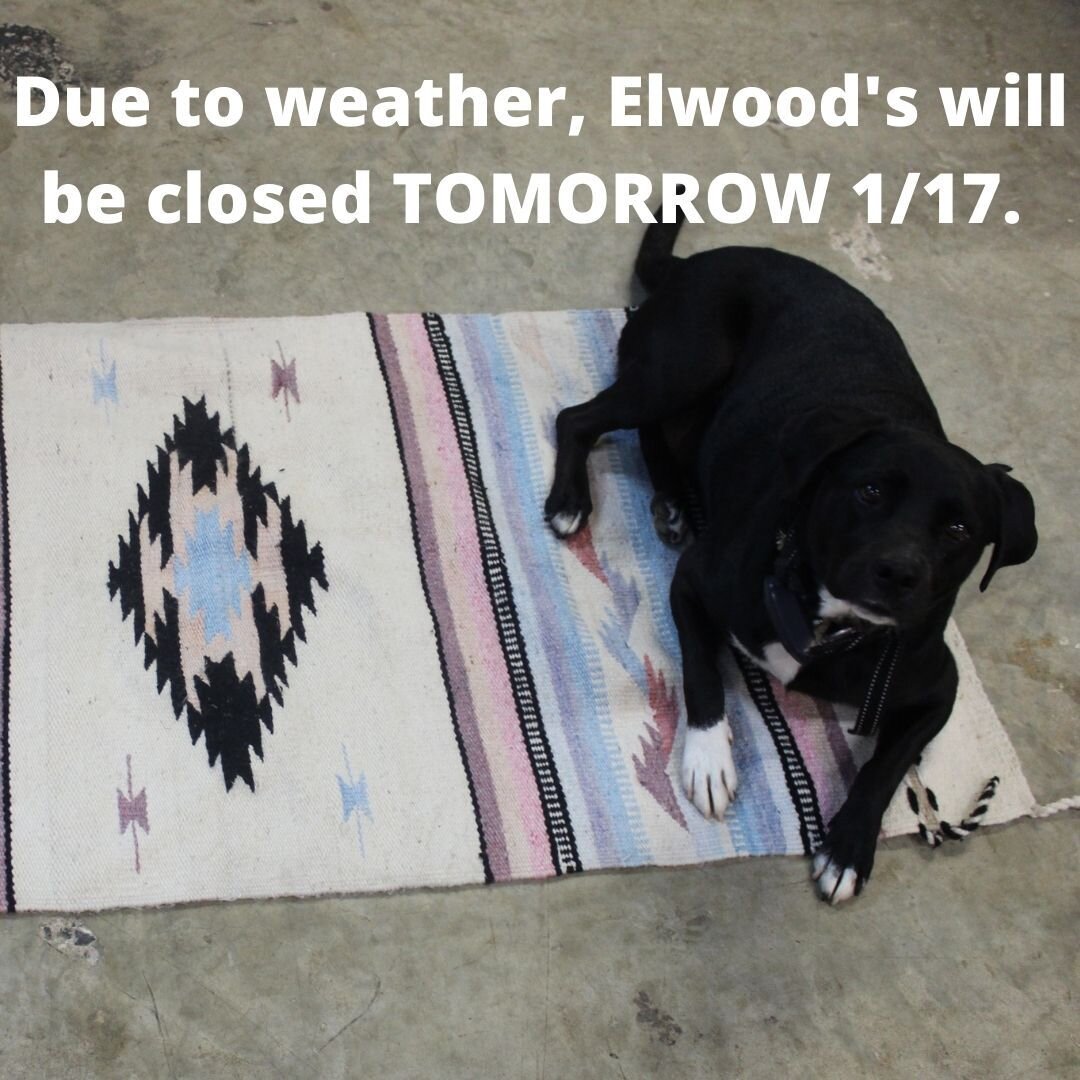 CLOSED tomorrow due to weather!!!Due to weather, Elwood's will be closed TOMORROW 1/17.
We will be open during normal hours on Tuesday, 1/18.