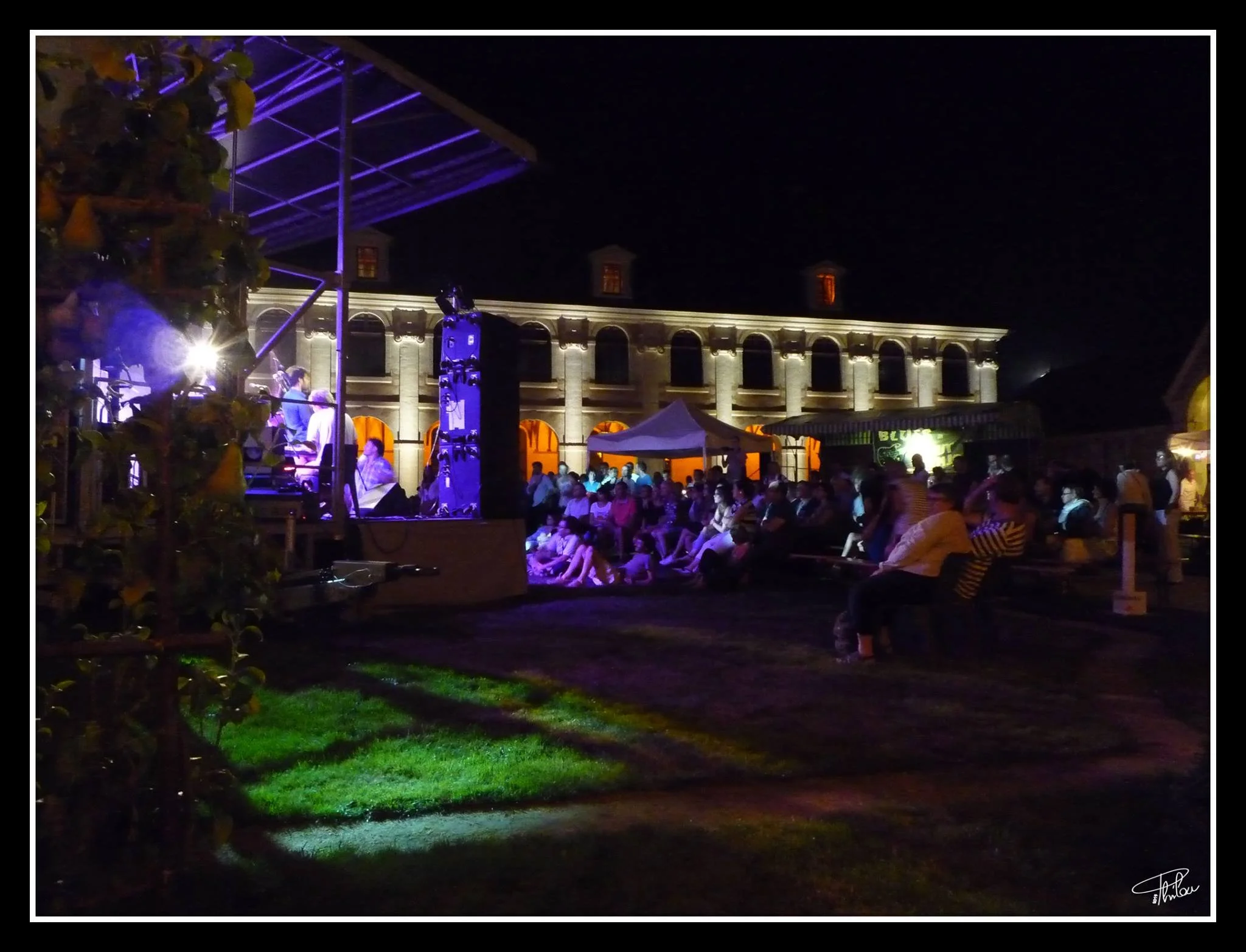 Festival Blues In Anjou