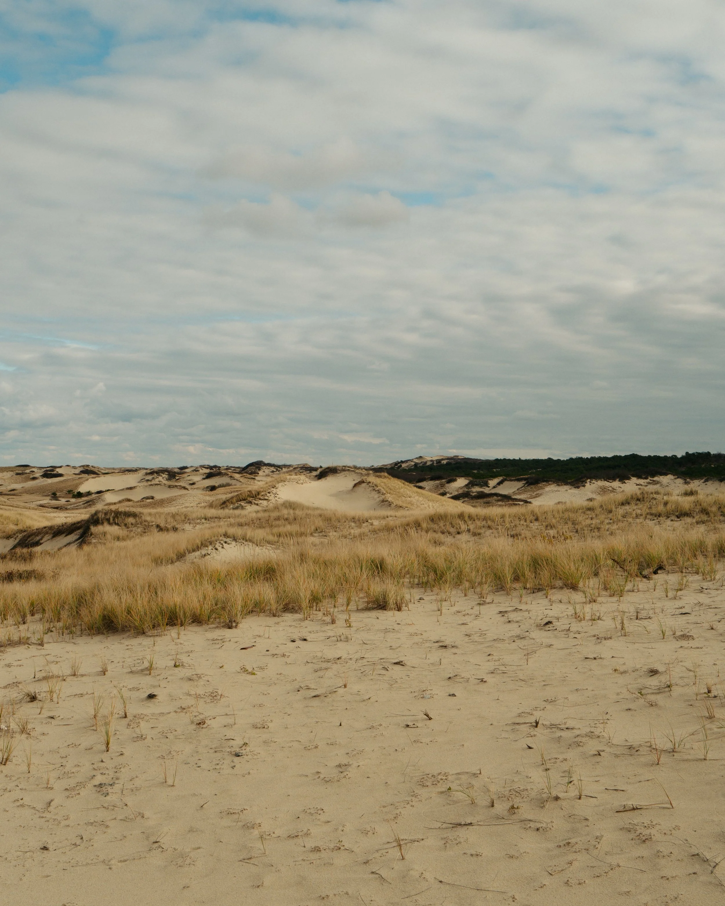L1003425.jpg