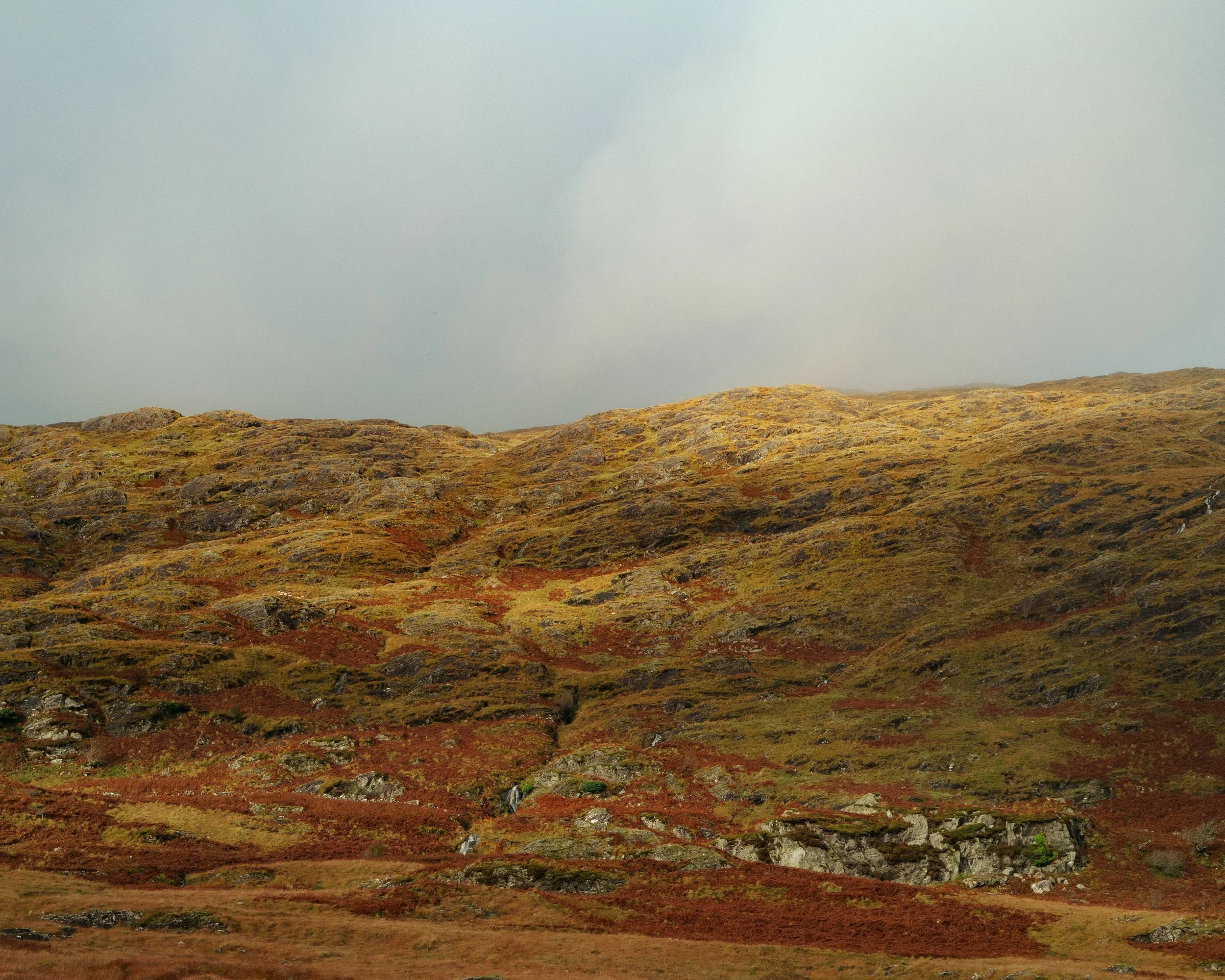 L1003061.jpg