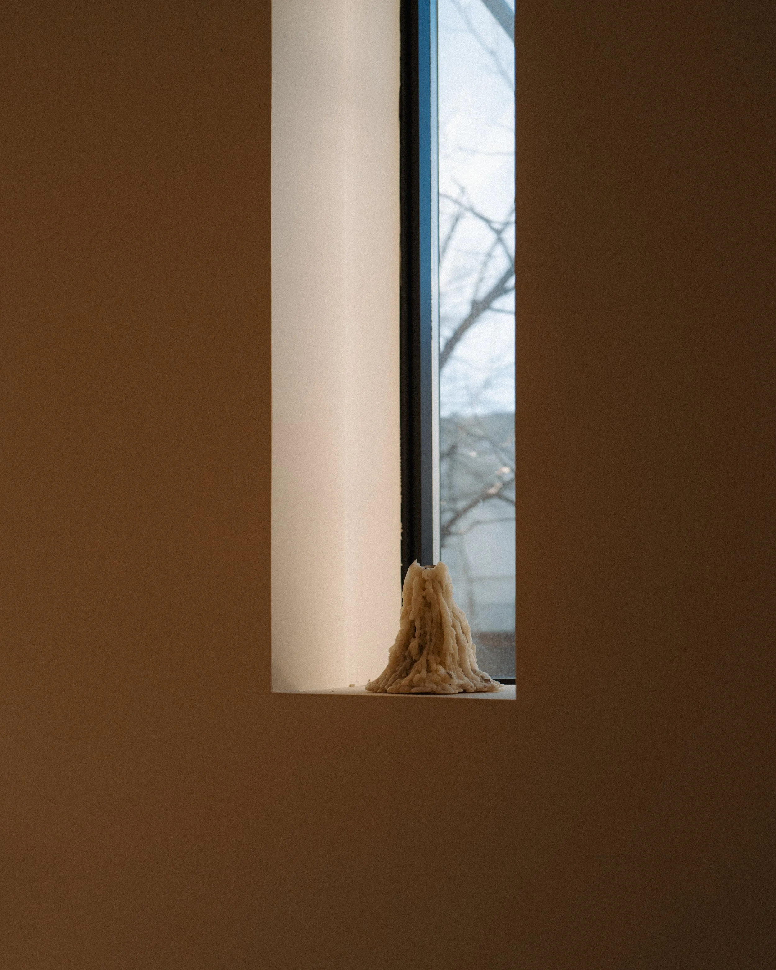 L1003772.jpg