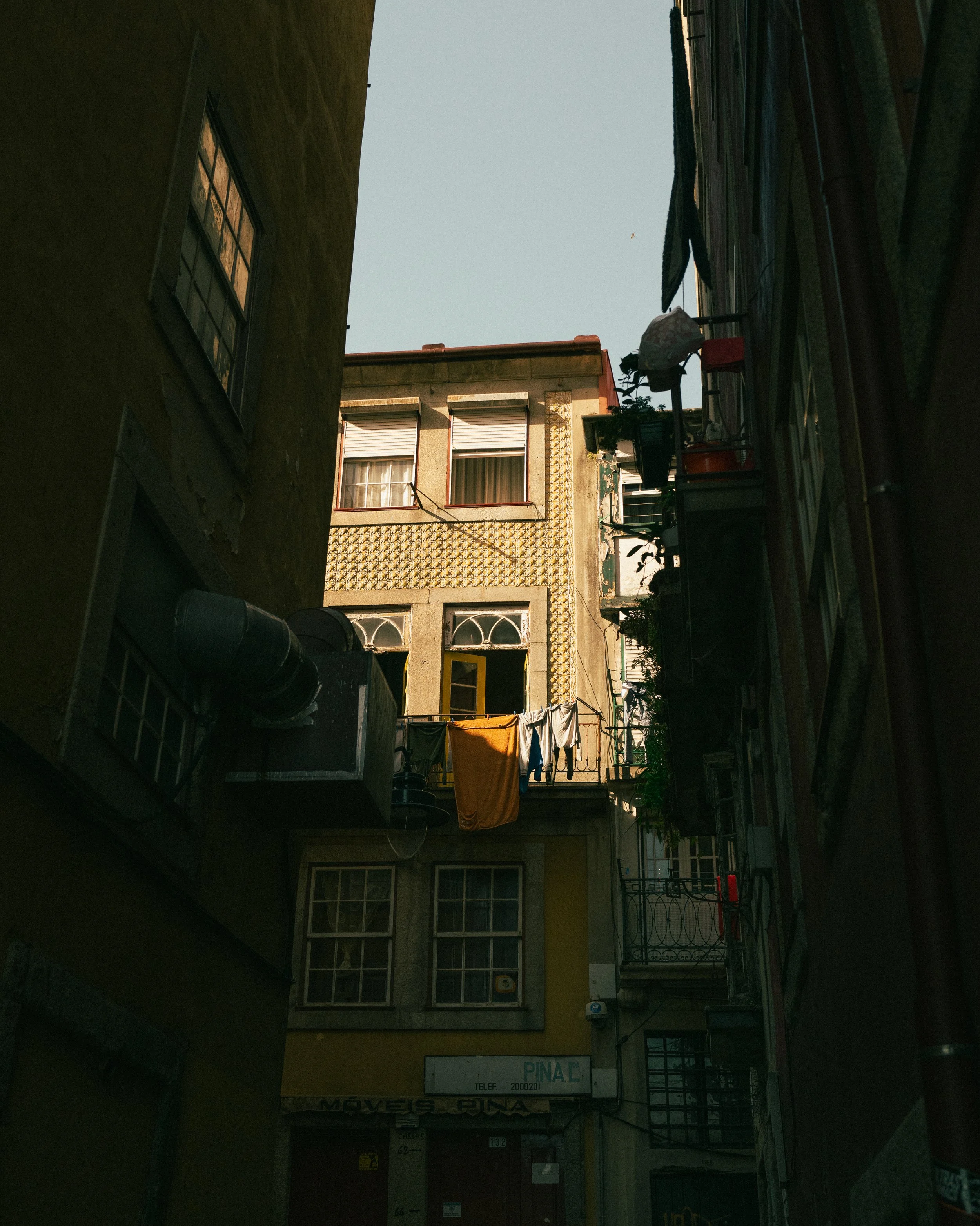 L1001637.jpg