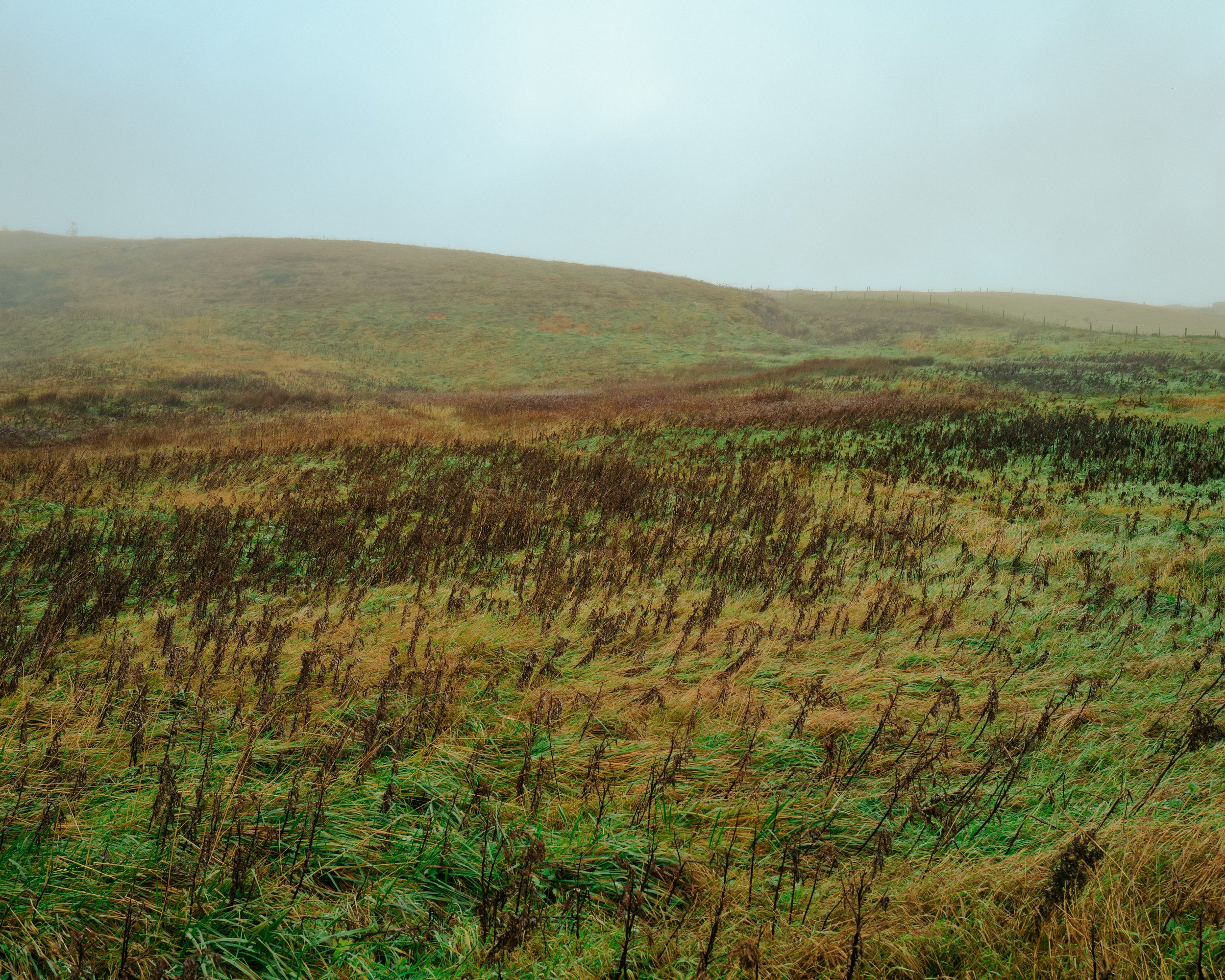 L1003204.jpg