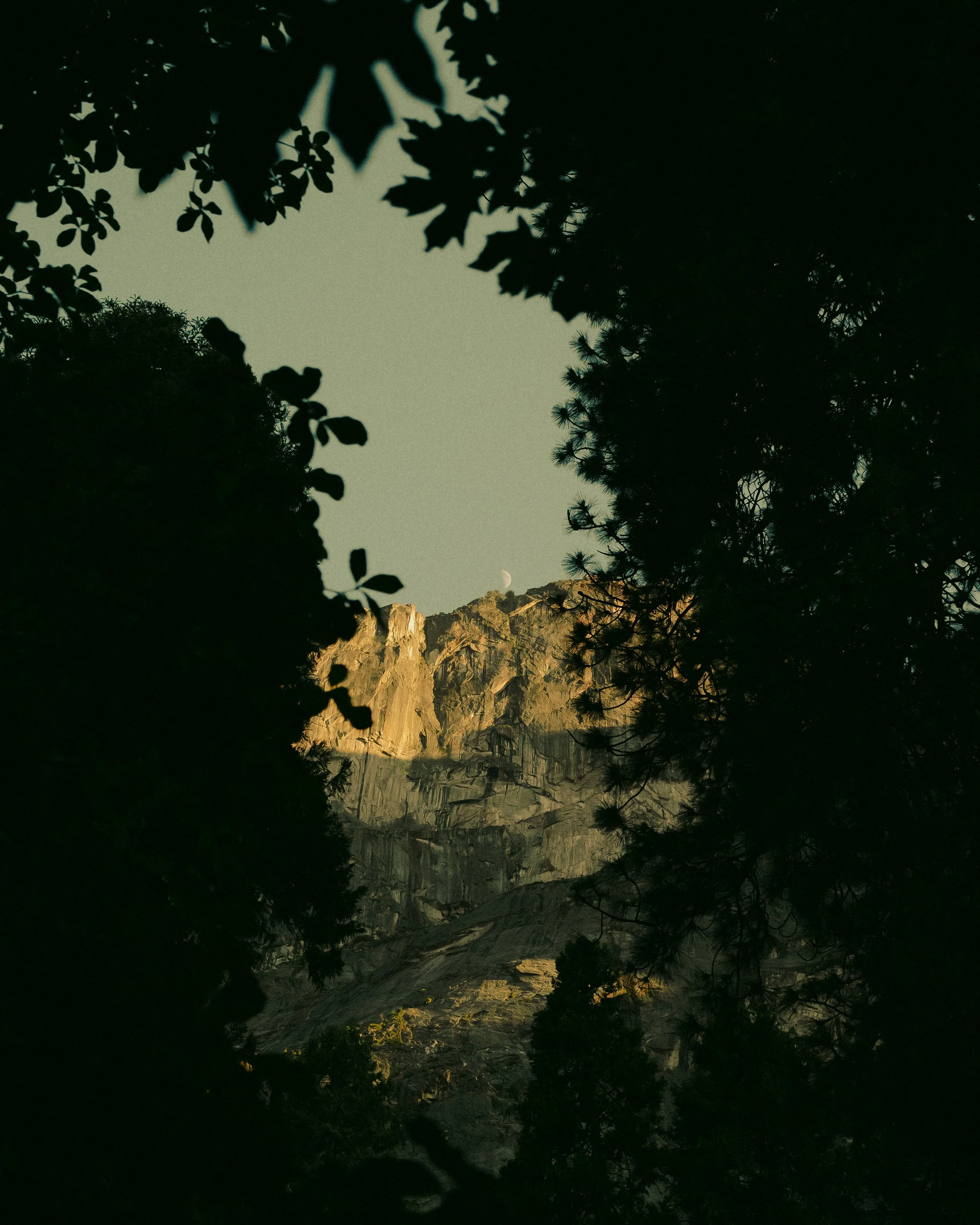 L1001375.jpg