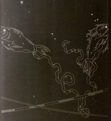 Barr_FISH-detail_poster_web_4x4+copy.jpeg