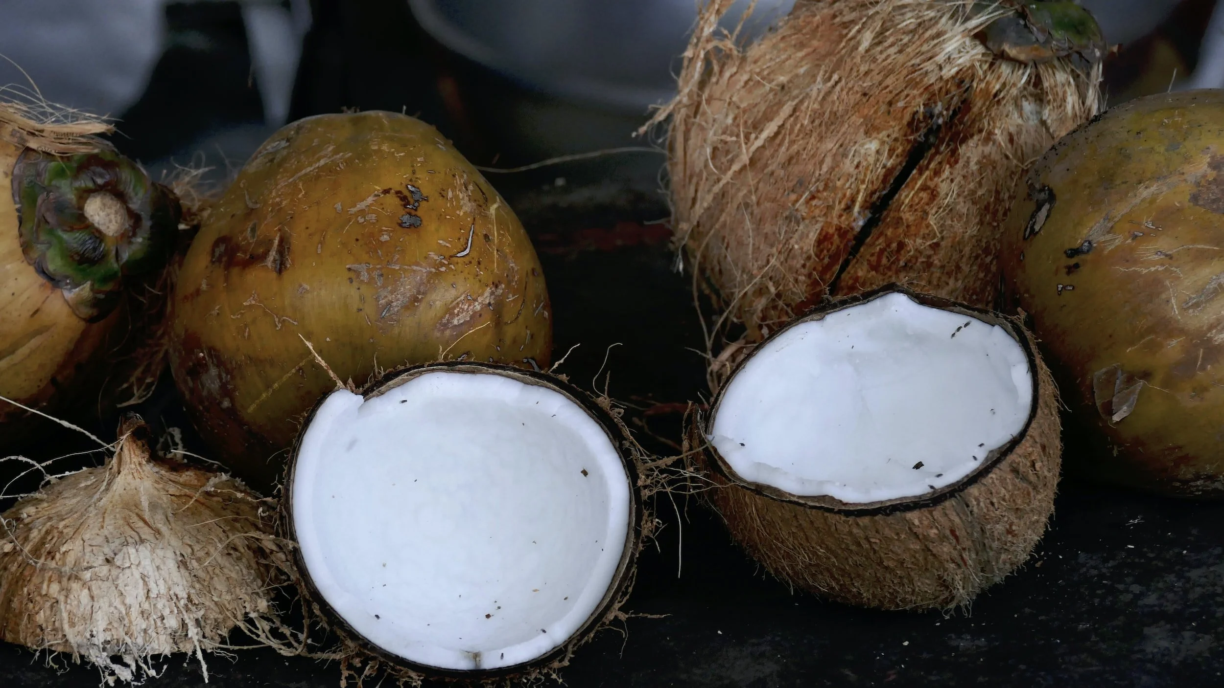 Coconut oil: Is it really good for your hair?