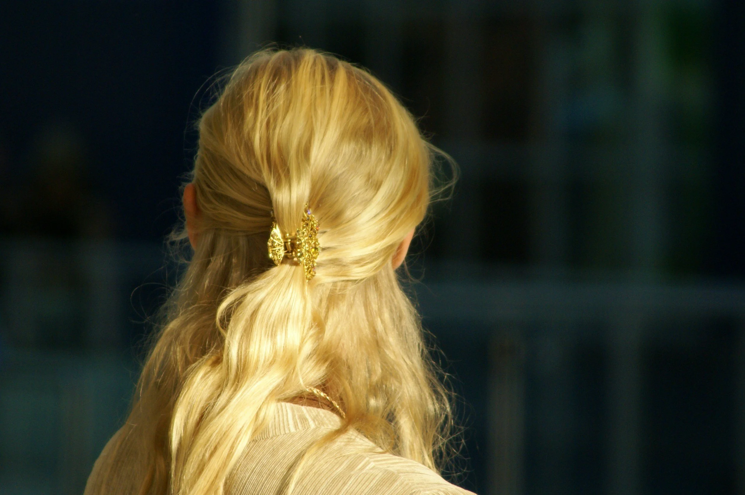 Heatless claw clip hairstyle created at Cedar Rose Salon & Suites in Byron Center, Michigan