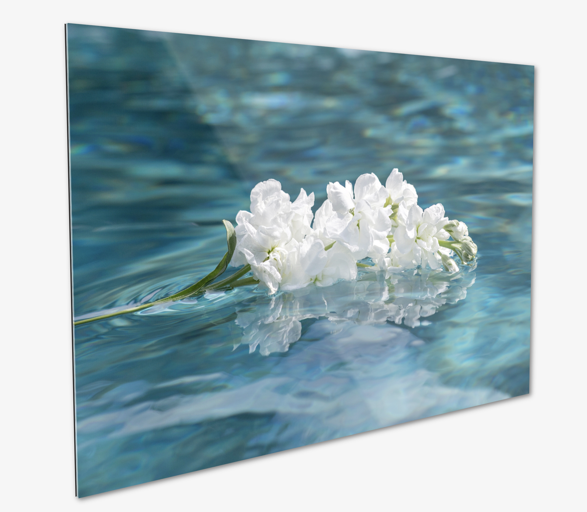 Screen Shot 2021-12-04 at 5.46.26 AM.png