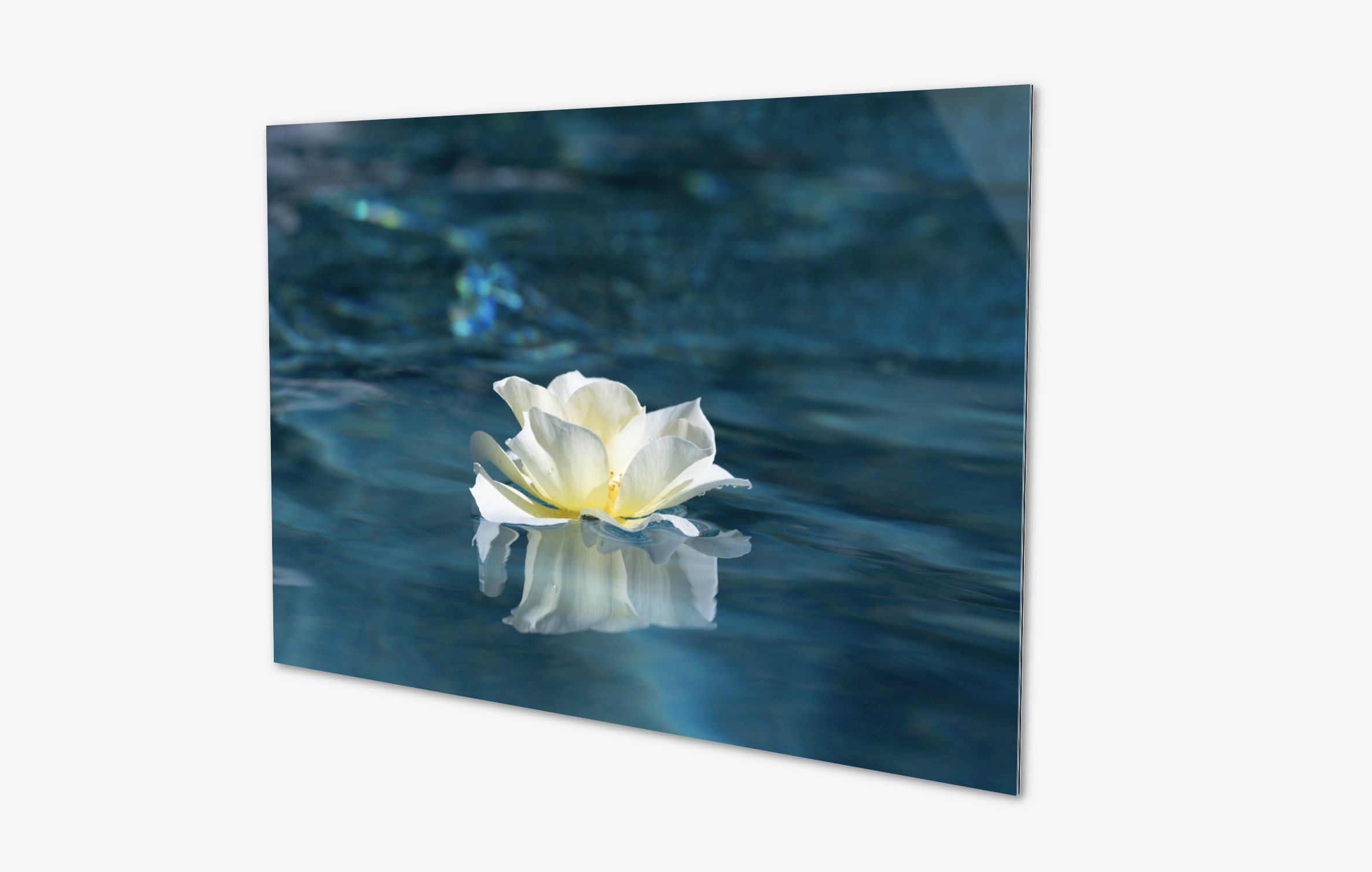 Screen Shot 2021-12-04 at 12.02.50 PM.png