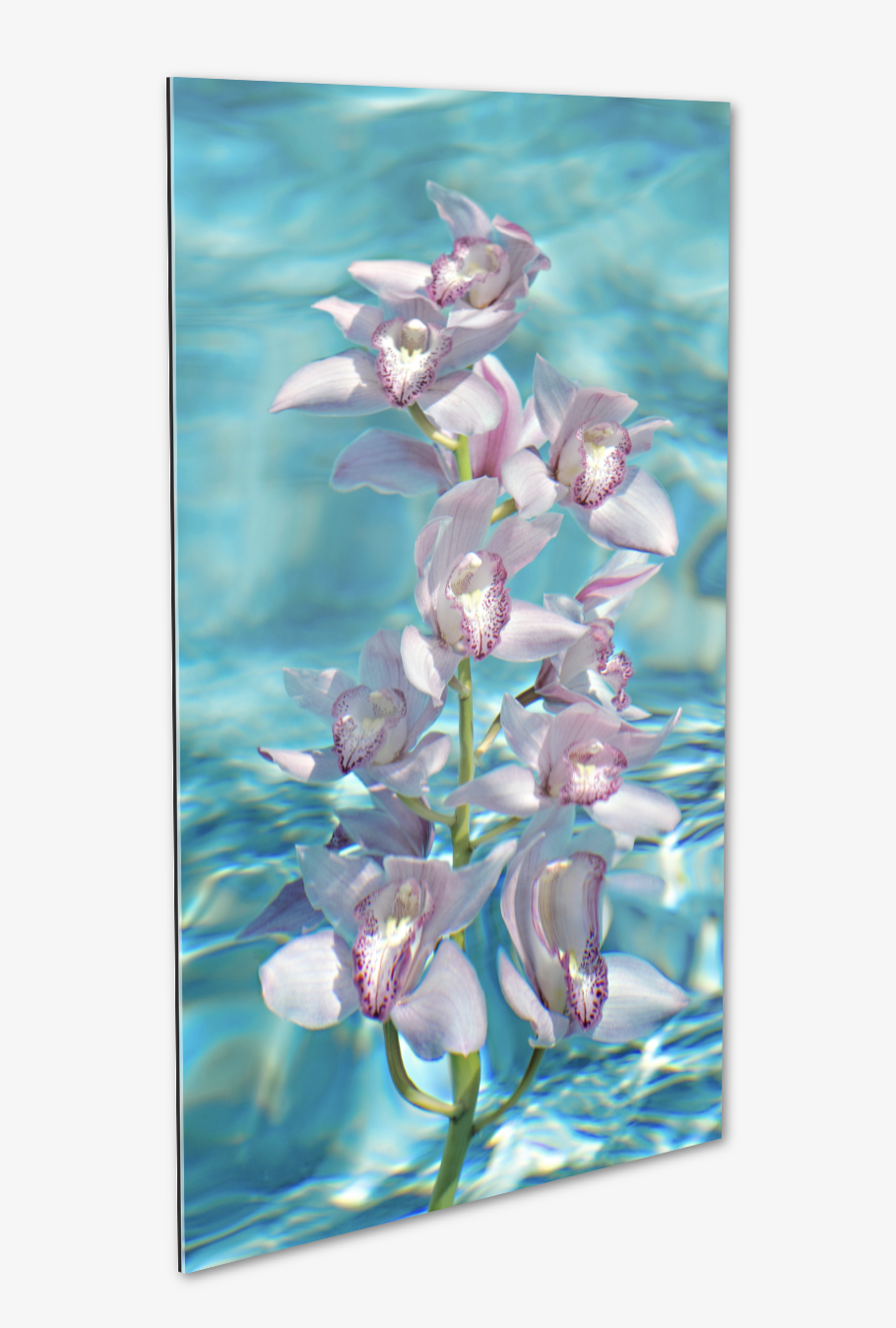 Screen Shot 2021-12-04 at 5.42.14 AM.png