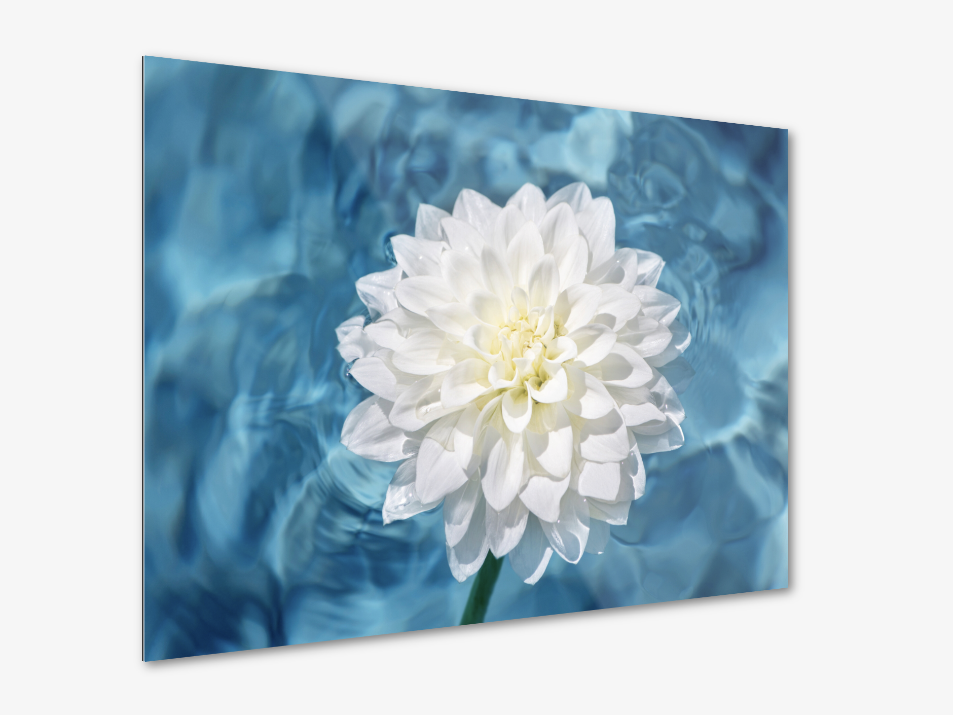 Screen Shot 2022-05-27 at 8.48.24 AM.png