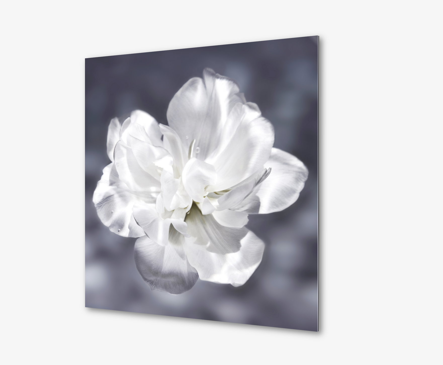 Screen Shot 2022-06-25 at 6.28.02 AM.png